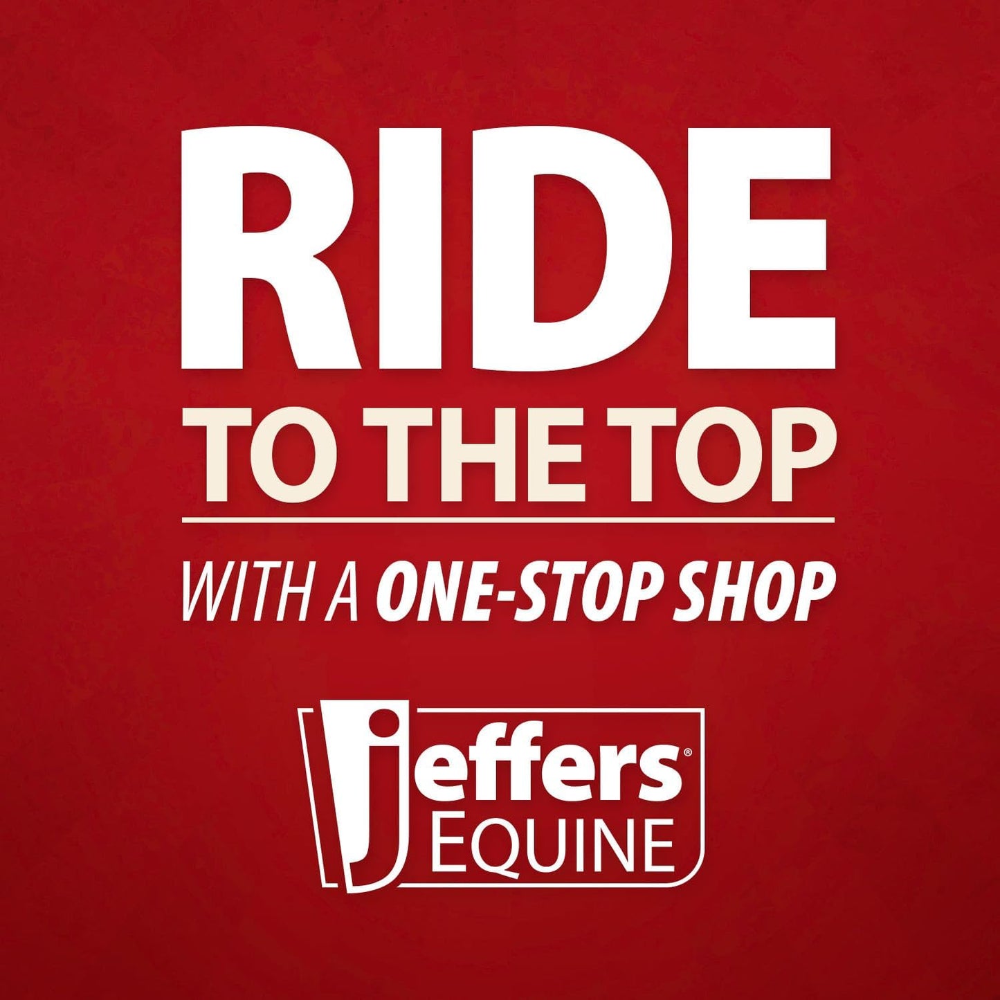 Jeffers Equine Mini Horse Halter – 3/4" Nylon Adjustable Halter for Miniature Horses, Ponies, Under 200 lbs – Heavy Duty Hardware, Secure Fit for Training, Turnout, Grooming, Travel – Black