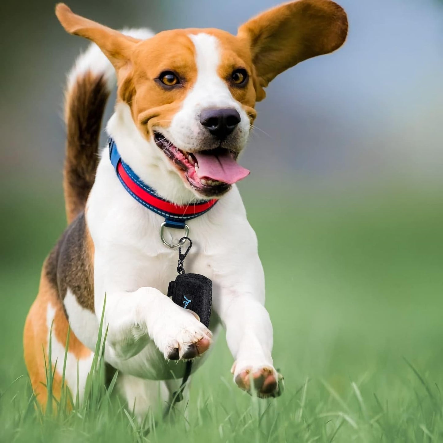 PuppyDoggy 2 Pack Poop Bag Holder for Dogs and Cats Black Waste Bag Dispenser Poop Bag Pouch Dispenser with 2 Roll of Free Poop Bags for Leash Accessory Bicycle (Black, 2 Pack)