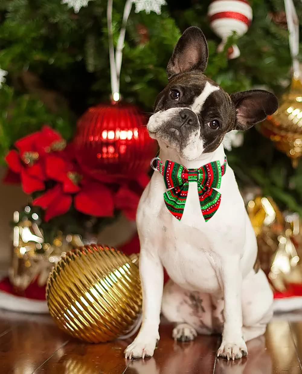 Lionet Paws Christmas Dog Collar with Bowtie, Dog Sailor Bow Collar with Metal Buckle for Dogs and Cats, Adjustable Comfortable Dog Collar Girl Gift,XXS, Neck 7-11 in