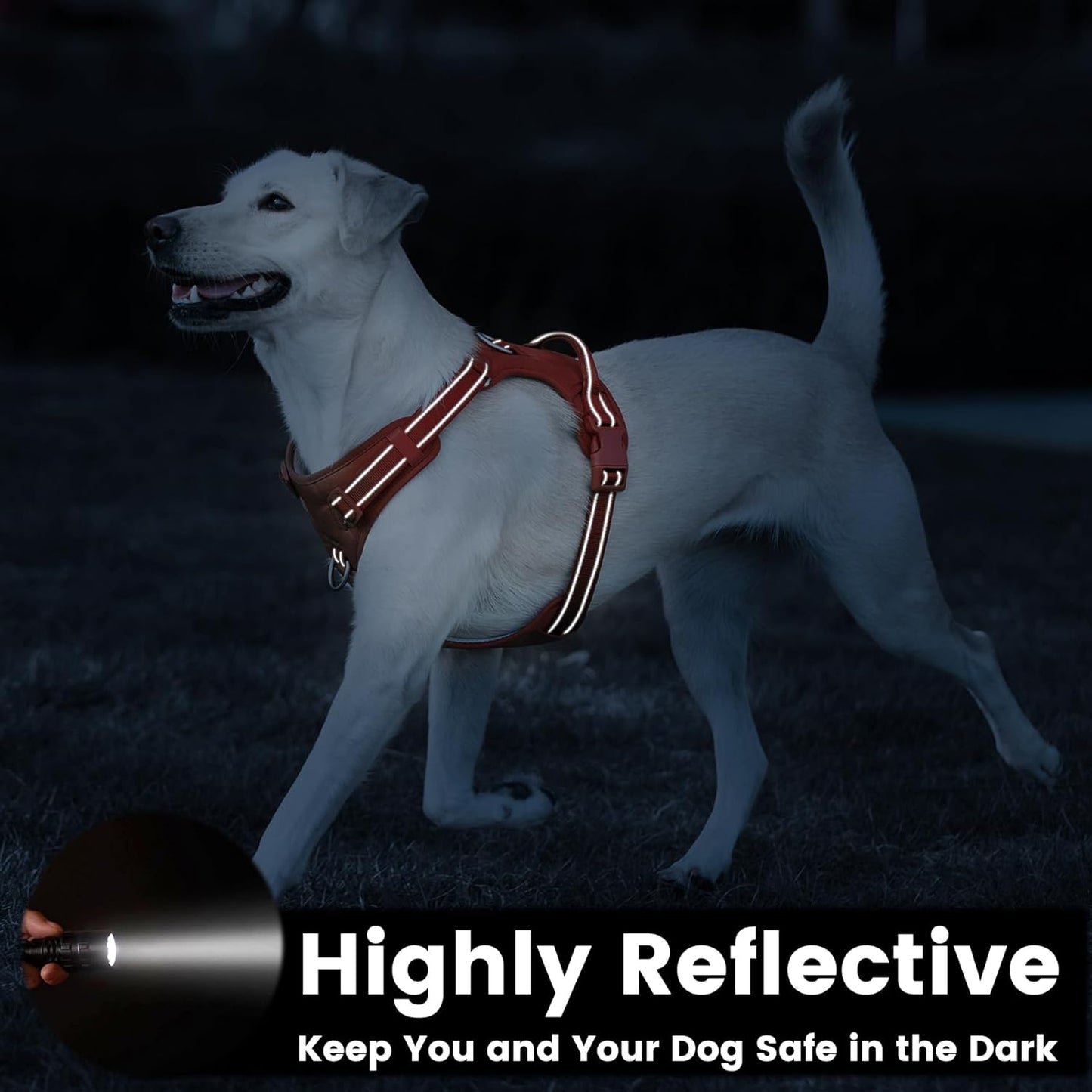 No Pull Dog Harness, Reflective Puppy Vest for Small Medium Large Sized Dog(Orange,S)