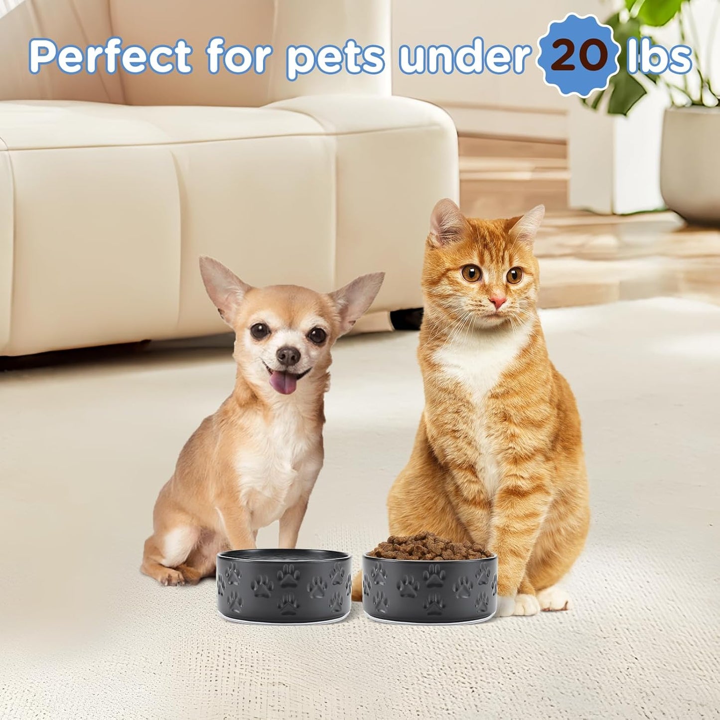 SPUNKYJUNKY Ceramic Dog and Cat Bowls 2 Pack, 5.1'' Dog and Cat Food Water Double Feeding Bowls Non-Slip for Cats and Puppy Small Sized Breed Dogs Microwave Dishwasher Safe - 13.5 OZ, 2pcs, Paw Black