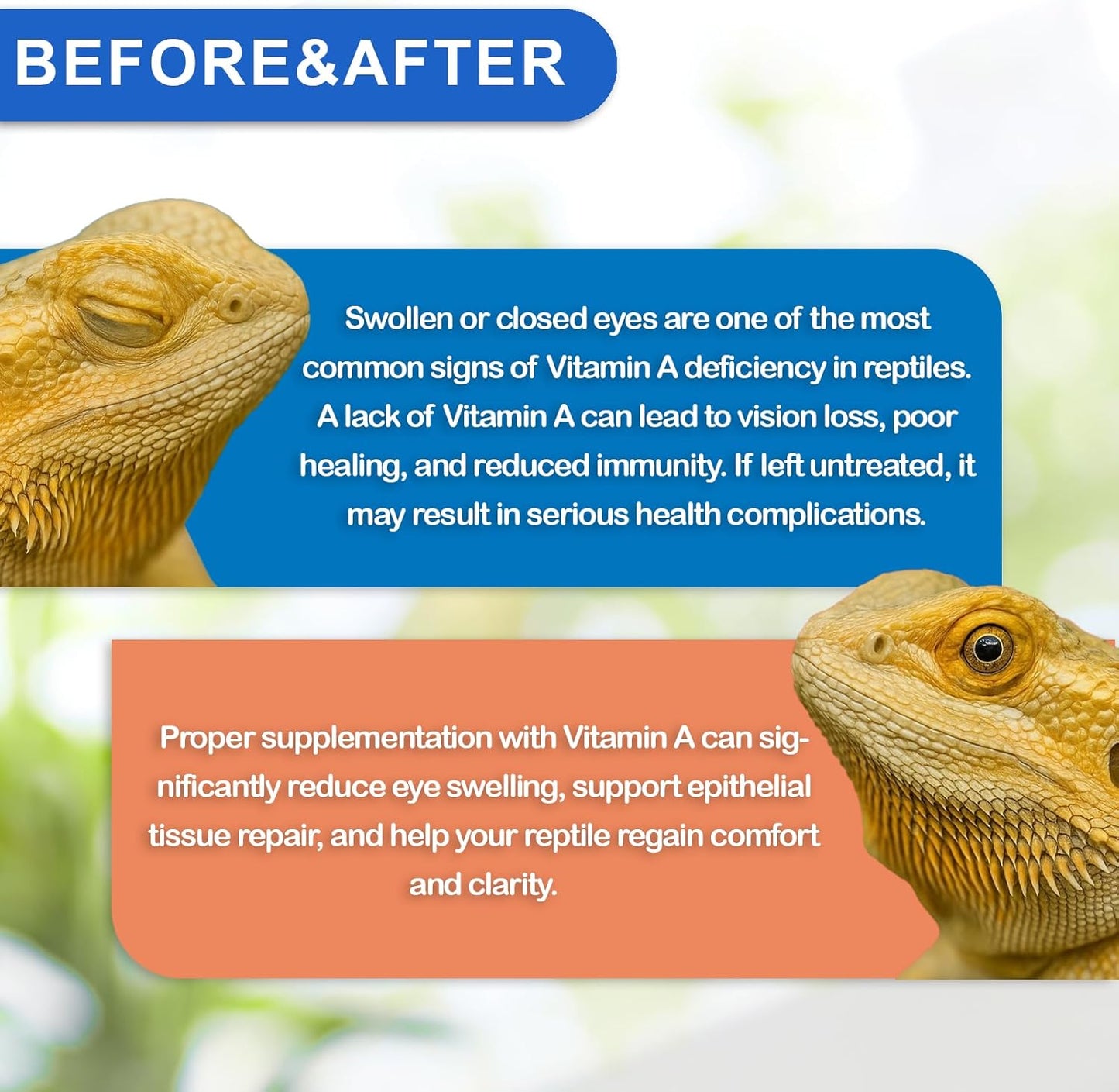 Reptile Vitamin A Supplement – Eye Health Support for Lizards, Turtles, Snakes & Amphibians – Promotes Growth, Vision & Immunity