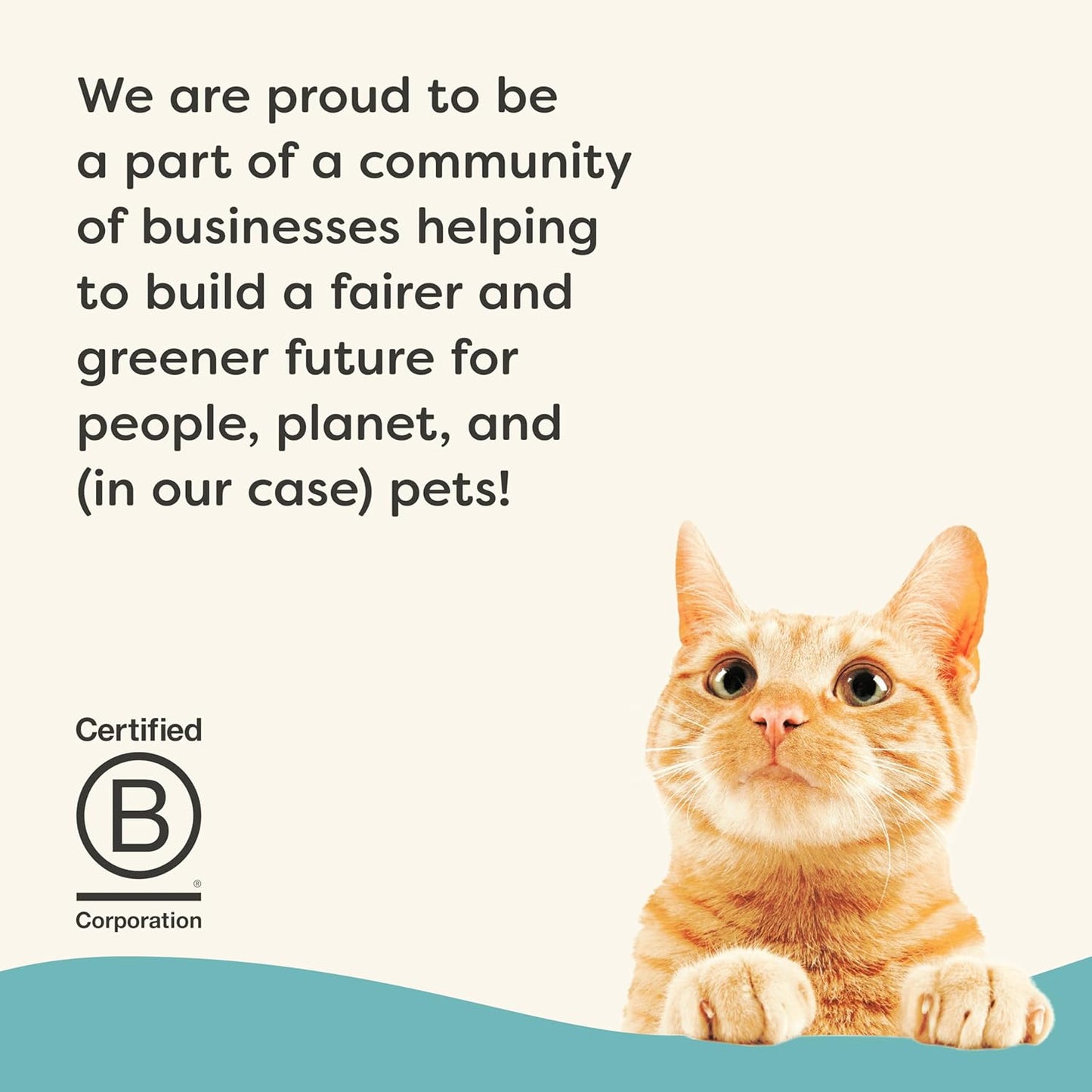 Applaws Vitality Wet Cat Food Paté, Natural Canned Cat Food, Wet Food for Cats with Added Vitamins and Minerals, Grain Free, Carrageenan Free, Tuna Fillet and Mackerel Recipe (24 Count, 2.47 oz Cans)