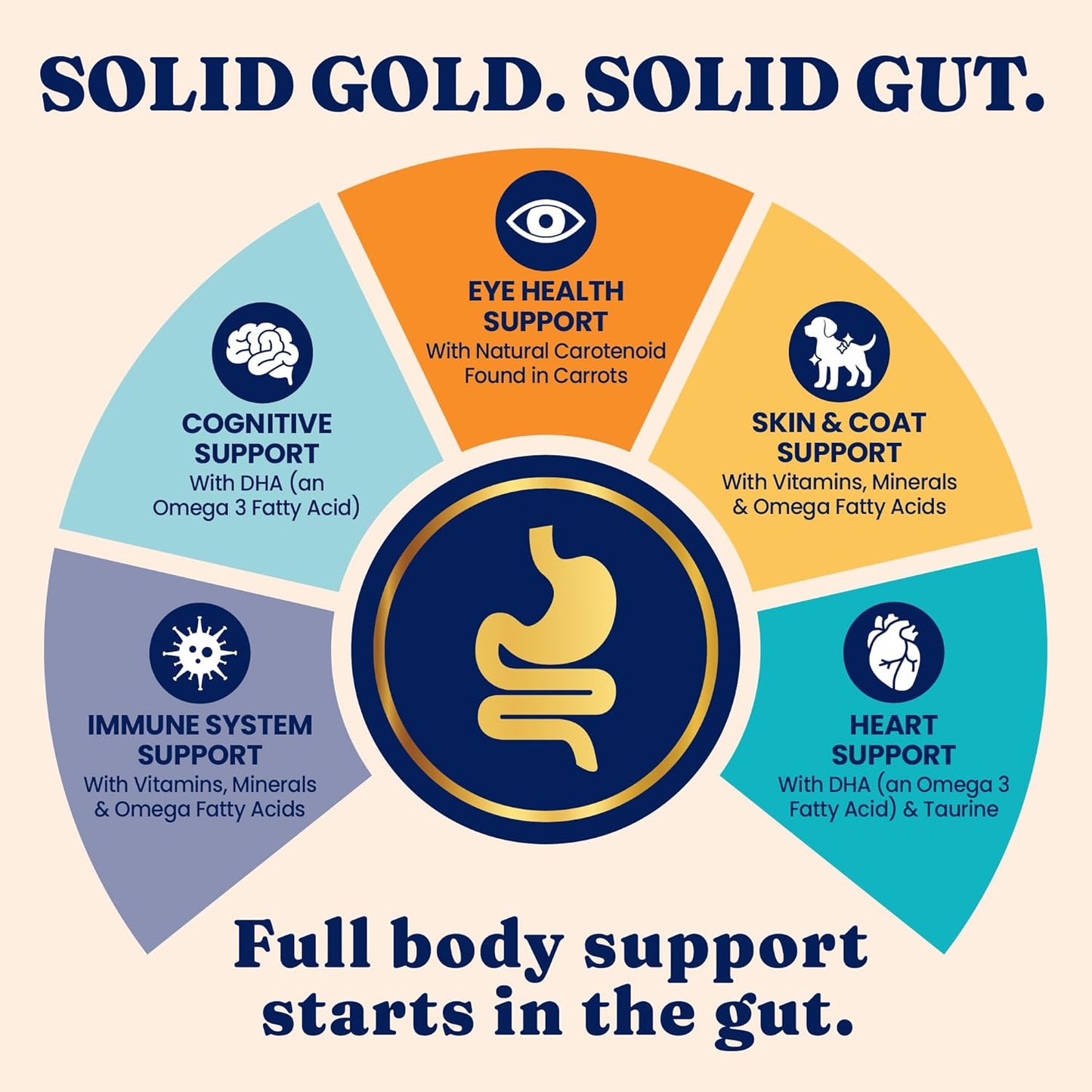 Solid Gold High Protein Dry Cat Food - Grain Free & Gluten Free Chicken Cat Dry Food w/Probiotics for Gut Health & Digestion - High Fiber & Omega 3 - Low Carb Superfood Kibble for Cats All Ages -12LB