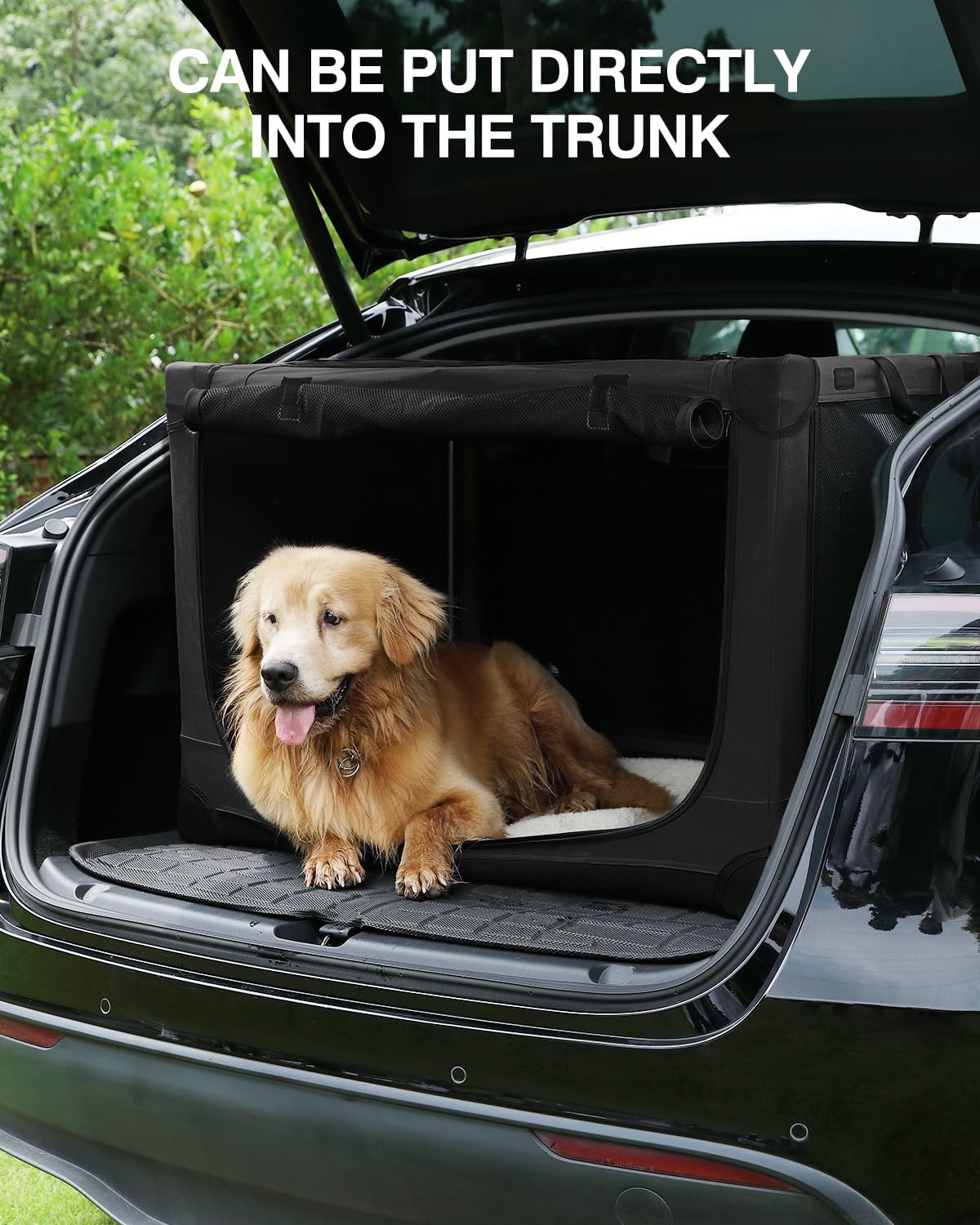 30-Inch Collapsible Travel Dog Crate, Portable 4-Door Soft Kennel for Medium to Large Dogs, Durable Mesh Windows, Indoor/Outdoor Use, Foldable, with Storage Bag (Black)