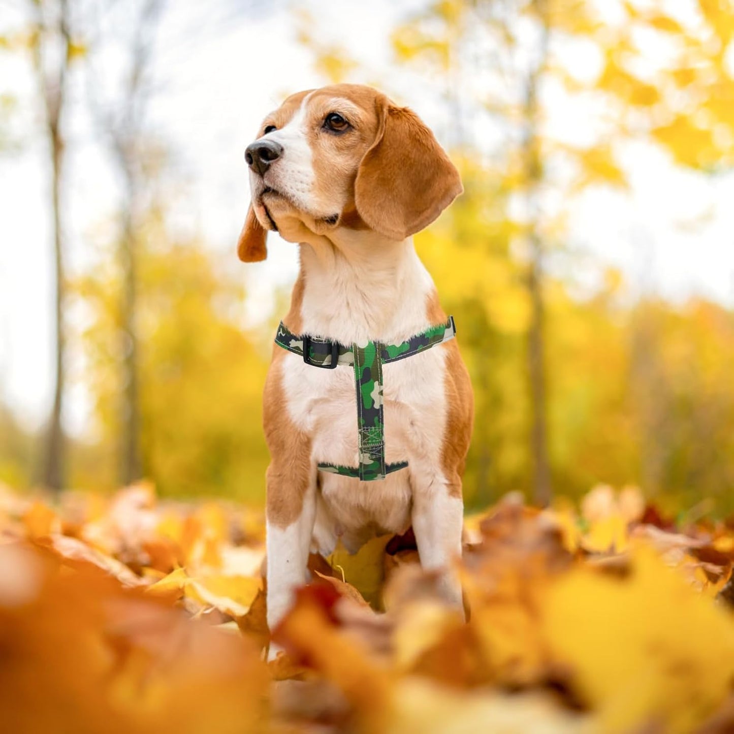 PUPTECK No Pull Dog Harness Soft Adjustable Basic Nylon Step in Puppy Vest Outdoor Walking with ID Tag, Camouflage, S