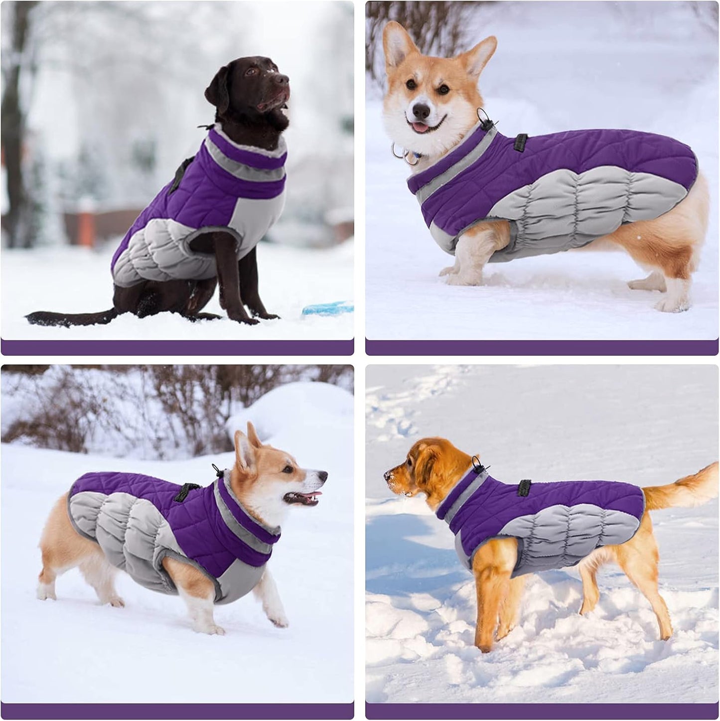 FUAMEY Dog Coat for Small Dogs,Waterproof Dog Winter Jacket with Harness Built in Puppy Cold Weather Coats Reflective Pet Vest with Zipper Warm Fleece Dogs Snowsuit Windproof Purple XS