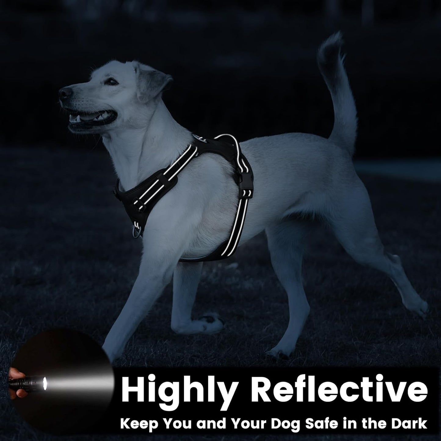 No Pull Dog Harness, Reflective Puppy Vest for Small Medium Large Sized Dog(Black,XL)