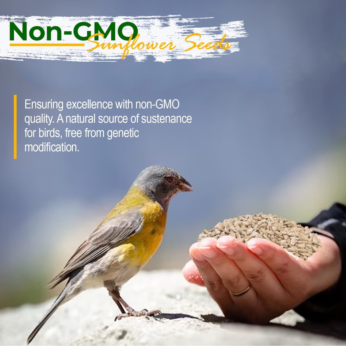 Wildlife Sunflower Hearts & Chips for Bird Feeding and Wildlife Bird attracting, Non-GMO and USA Grown, 25 lbs