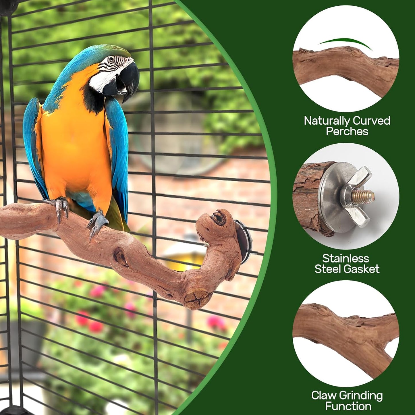 3-Piece Premium Bird Perch Stand with Natural Grape Wood Branch, Paw Grinding Fork, Chewing Stick, Cage Accessories for Parakeets, Budgies, Cockatiels, Finches, Lovebirds