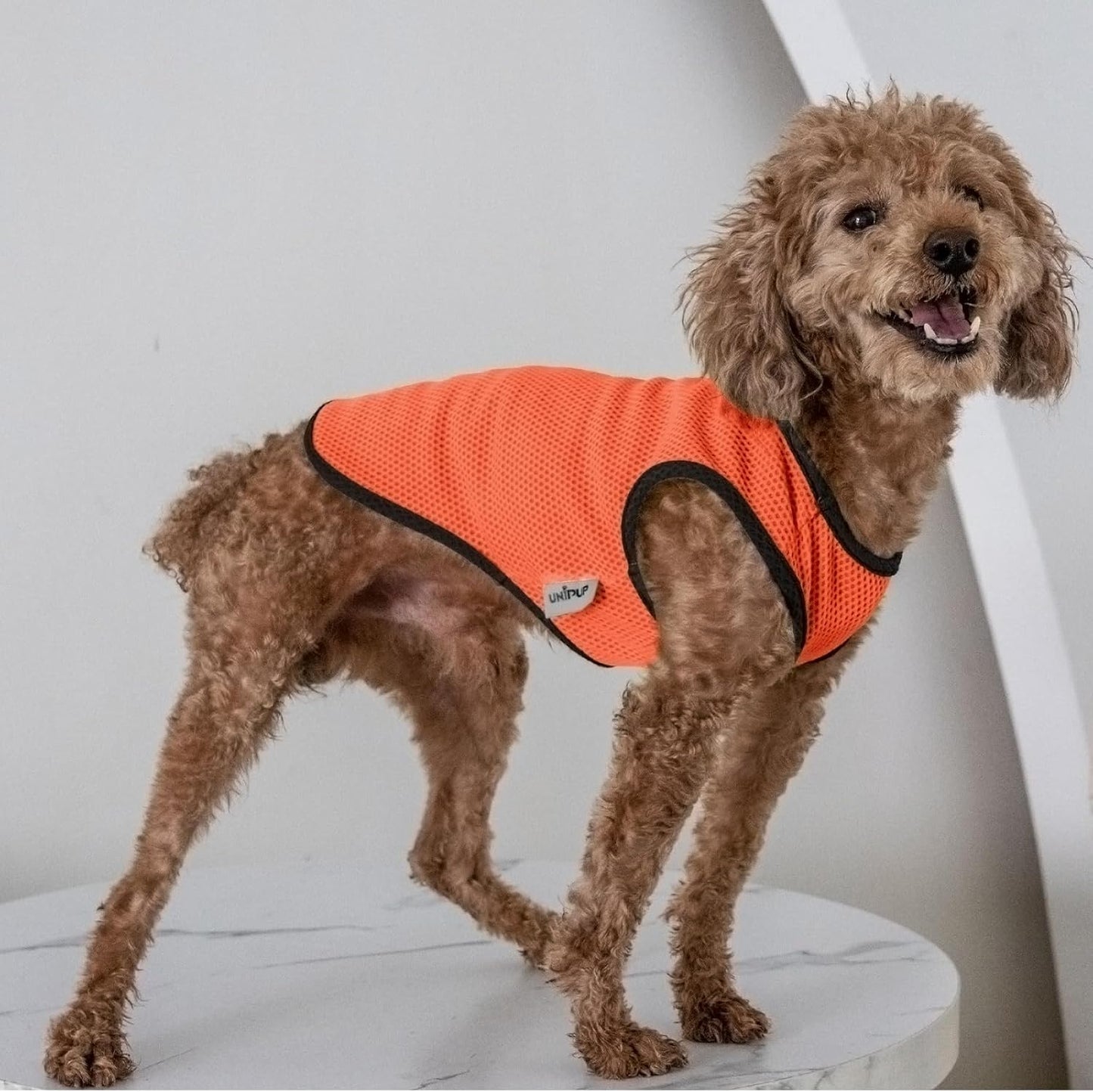 2 Pack Cooling Shirts for Dogs, Lightweight Mesh Breathable Dog Clothes for Small Dogs Boy Girl,Sun-Protection Sleeveless Shirts for Dog&Cat Puppy Vest Pet Apparel - M