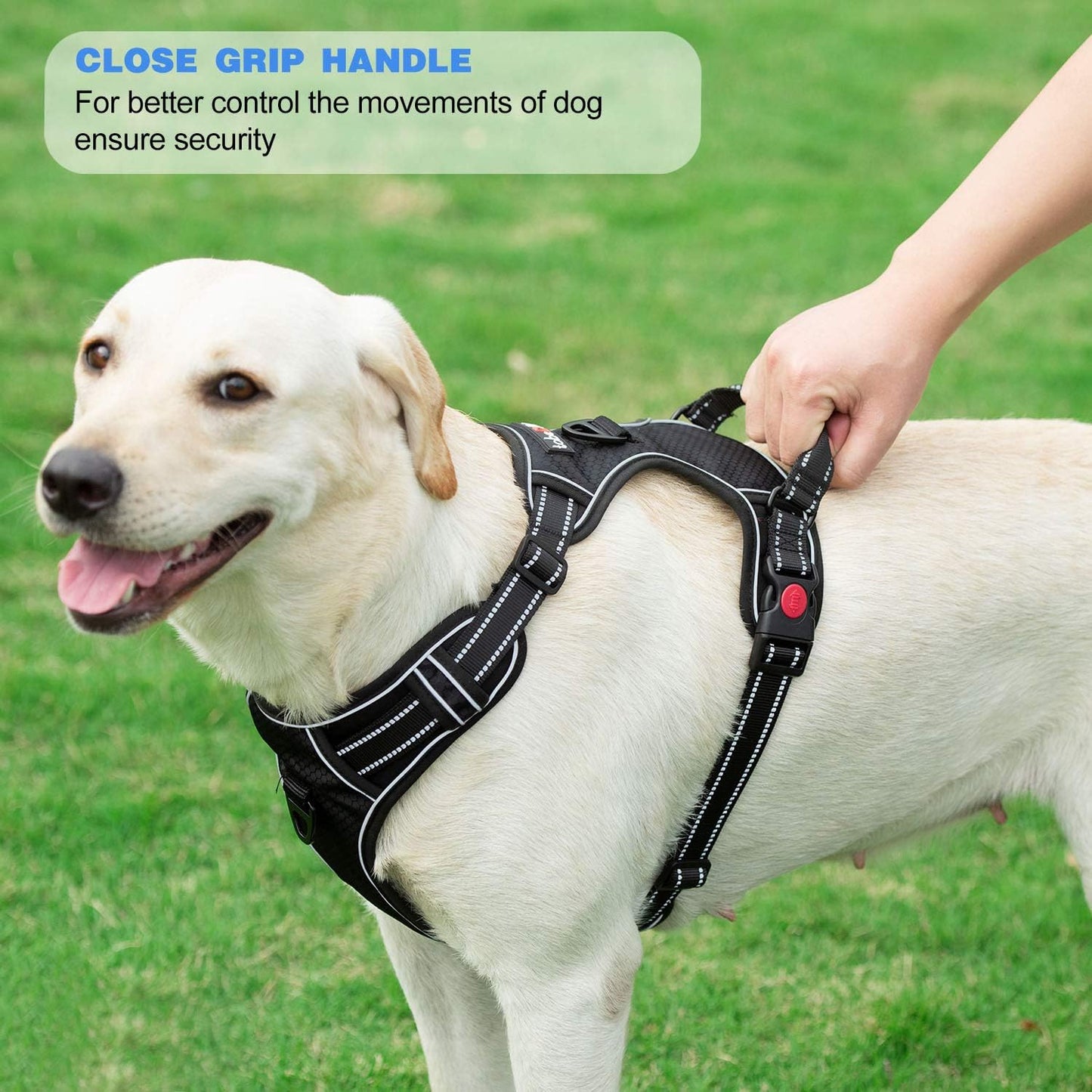 No Pull Harness with A Free Heavy Duty 5ft Leash for Medium Large Dog Adjustable Reflective Oxford Easy Control (L (Neck: 18"-25.5", Chest: 24.5"-33"), Black Harness+Leash)