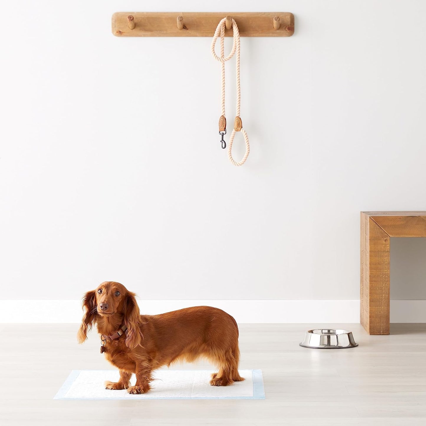 Amazon Basics Heavy Duty Dog and Puppy Pee Pads, 5-Layer Leak-Proof Ultra Absorbent, Quick-Dry Surface, Potty Training, Regular (24x23"), 80 Count, Blue & White