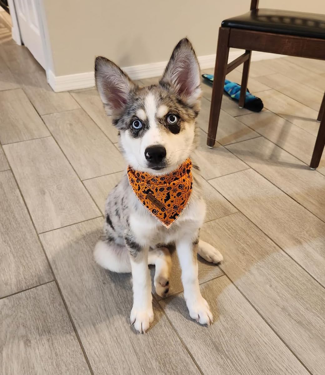 Lionet Paws Halloween Dog Bandana,Fabric Black Bat Dogs Kerchief for Medium Large Dogs,Dog Cotton Triangle Bibs Scarf for Girl Boy