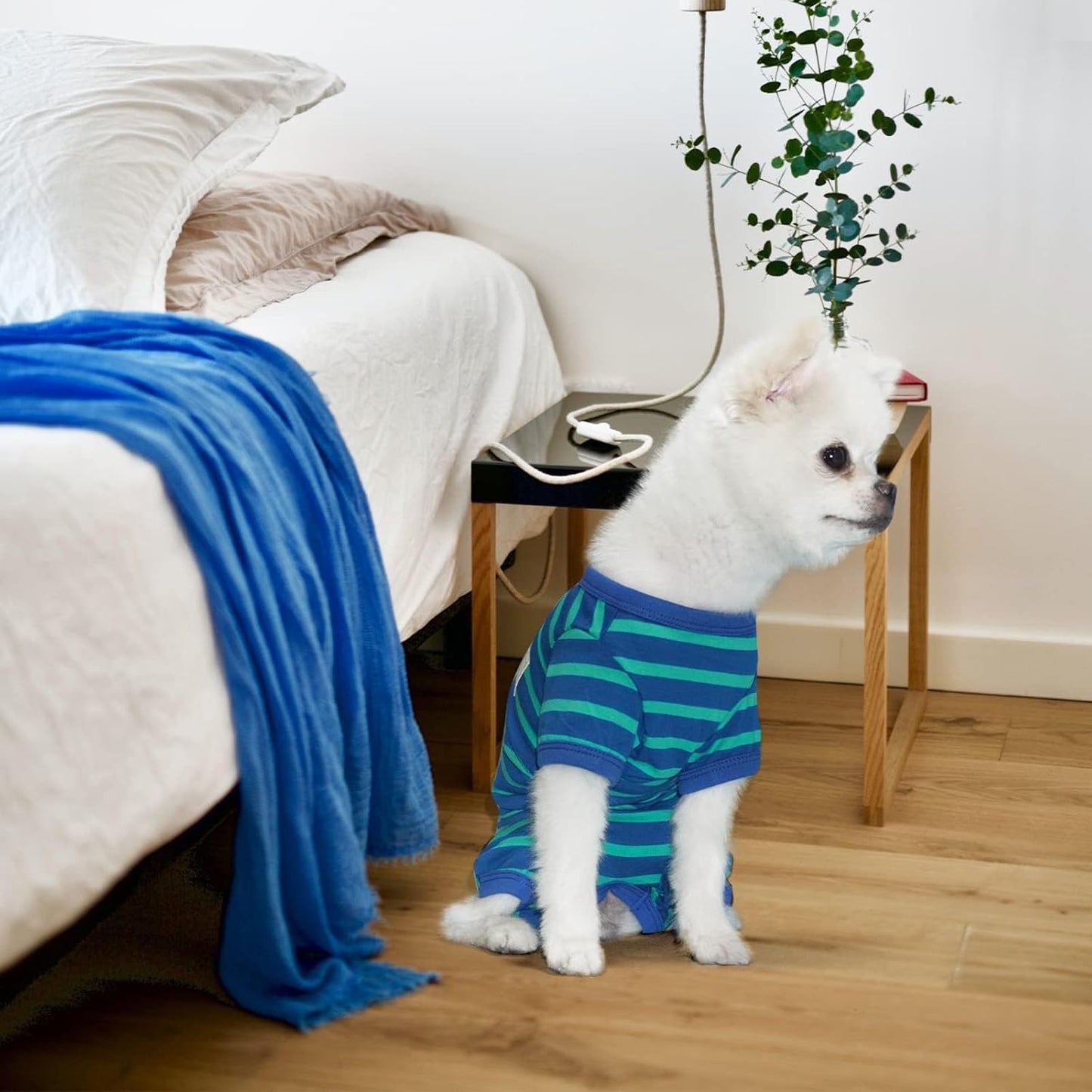 TONY HOBY Dog Pajamas for Medium Small Dogs, Dog Jumpsuit with Stripes 4 Legged Pajamas, Soft Dogs Pet Clothes (Blue&Green, Girl, S)