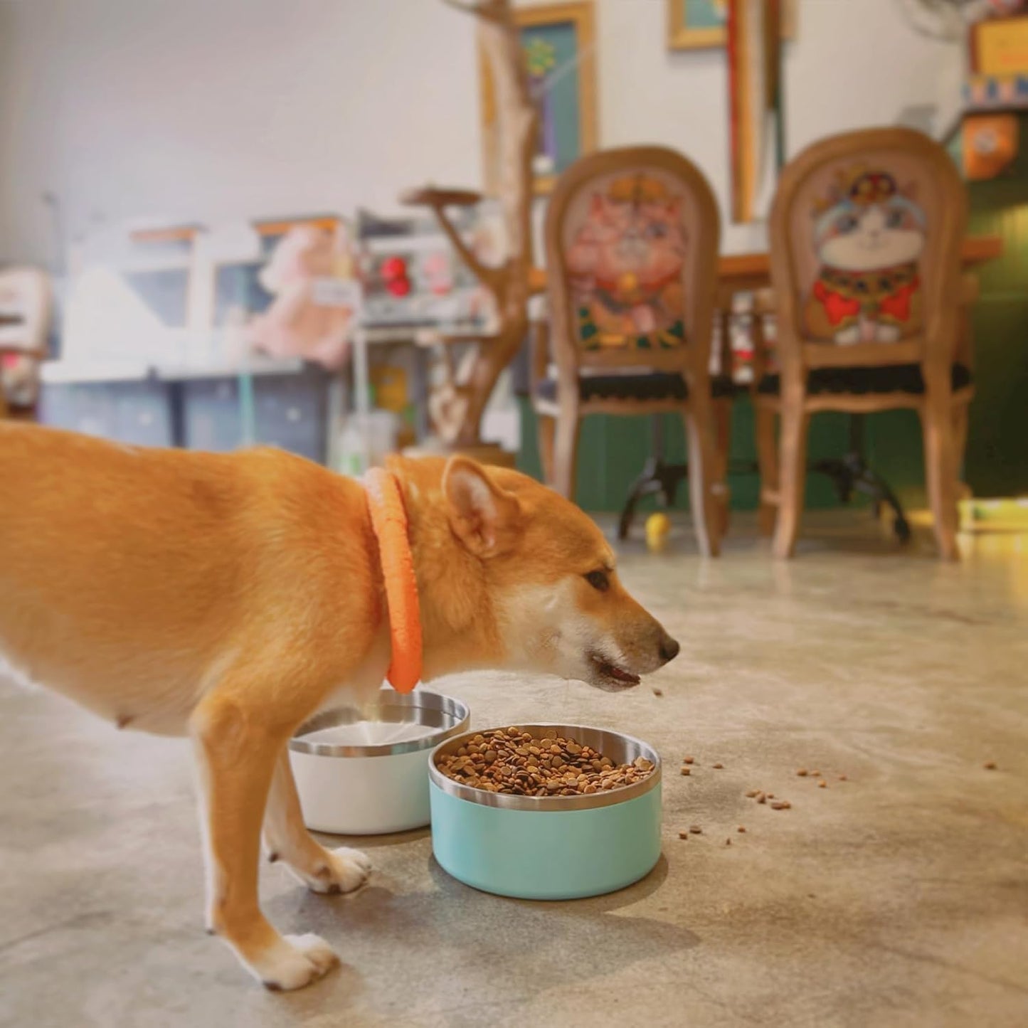 IKITCHEN Dog Bowl for Food and Water, 64 Oz Stainless Steel Pet Feeding Bowl, Durable Non-Skid Double Wall Insulated Heavy Duty with Rubber Bottom for Medium Large Dogs (64 Ounces/8 Cup, MintGreen)