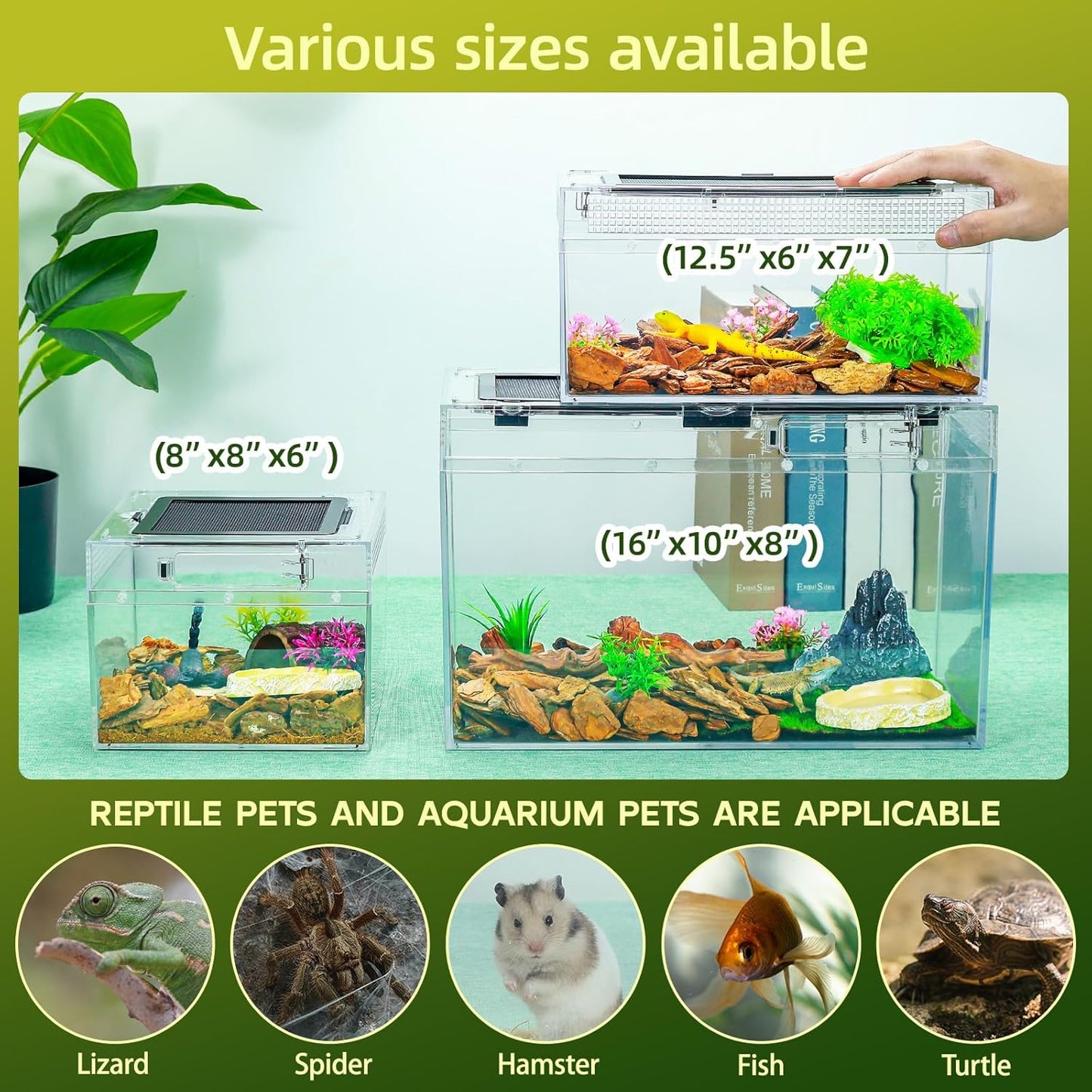 Reptile Tank Kit with Heat Lamp, Spray Bottle, Shovel, Tweezers, Food Bowl, Hideout -Perfect for Geckos, Jumping Spider,Milk Frog,Hermit Crabs,Snakes, Lizards (8''×8''×6'')