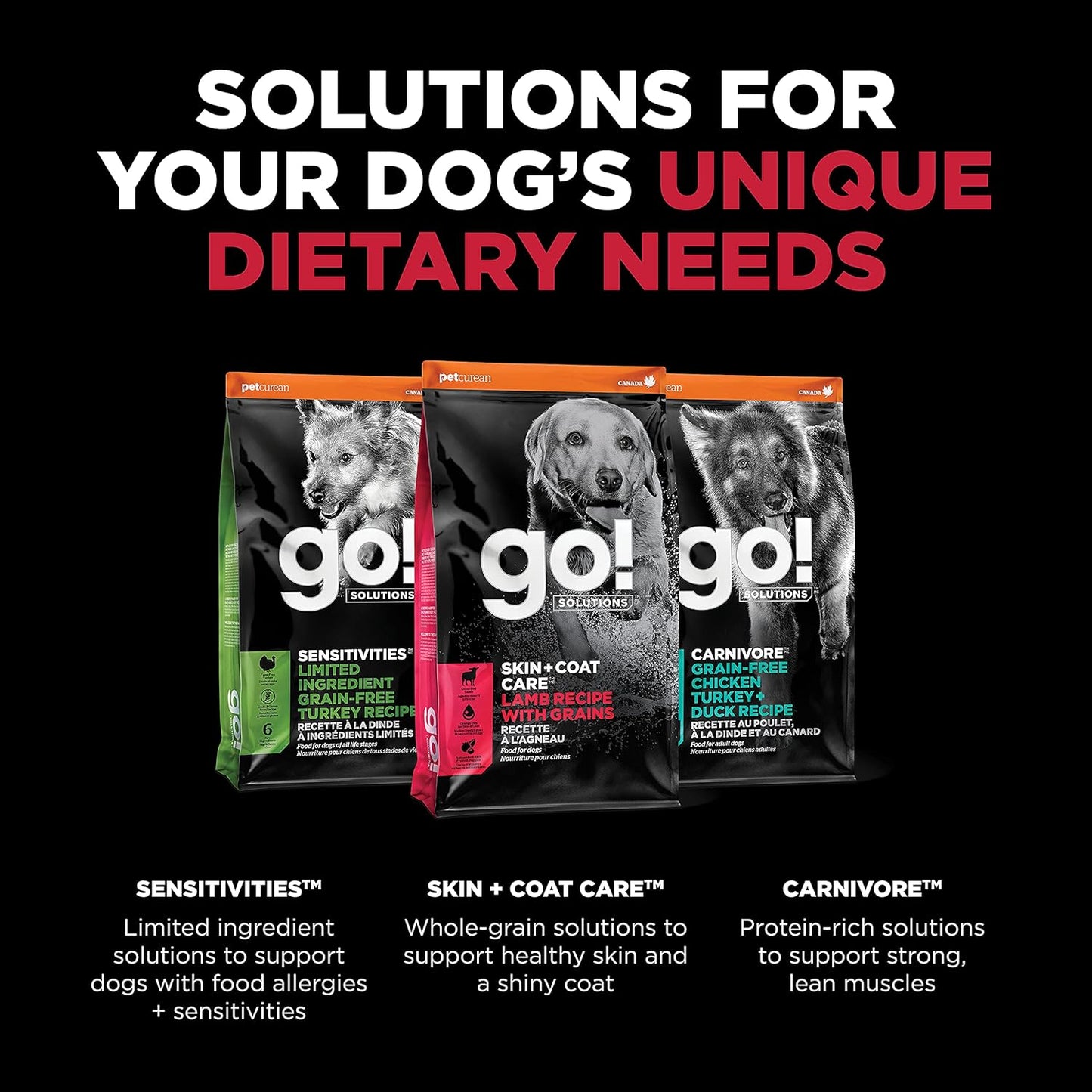 Go! Solutions Skin + Coat Care, Dry Dog Food, Lamb Recipe with Grains, 22 lb Bag