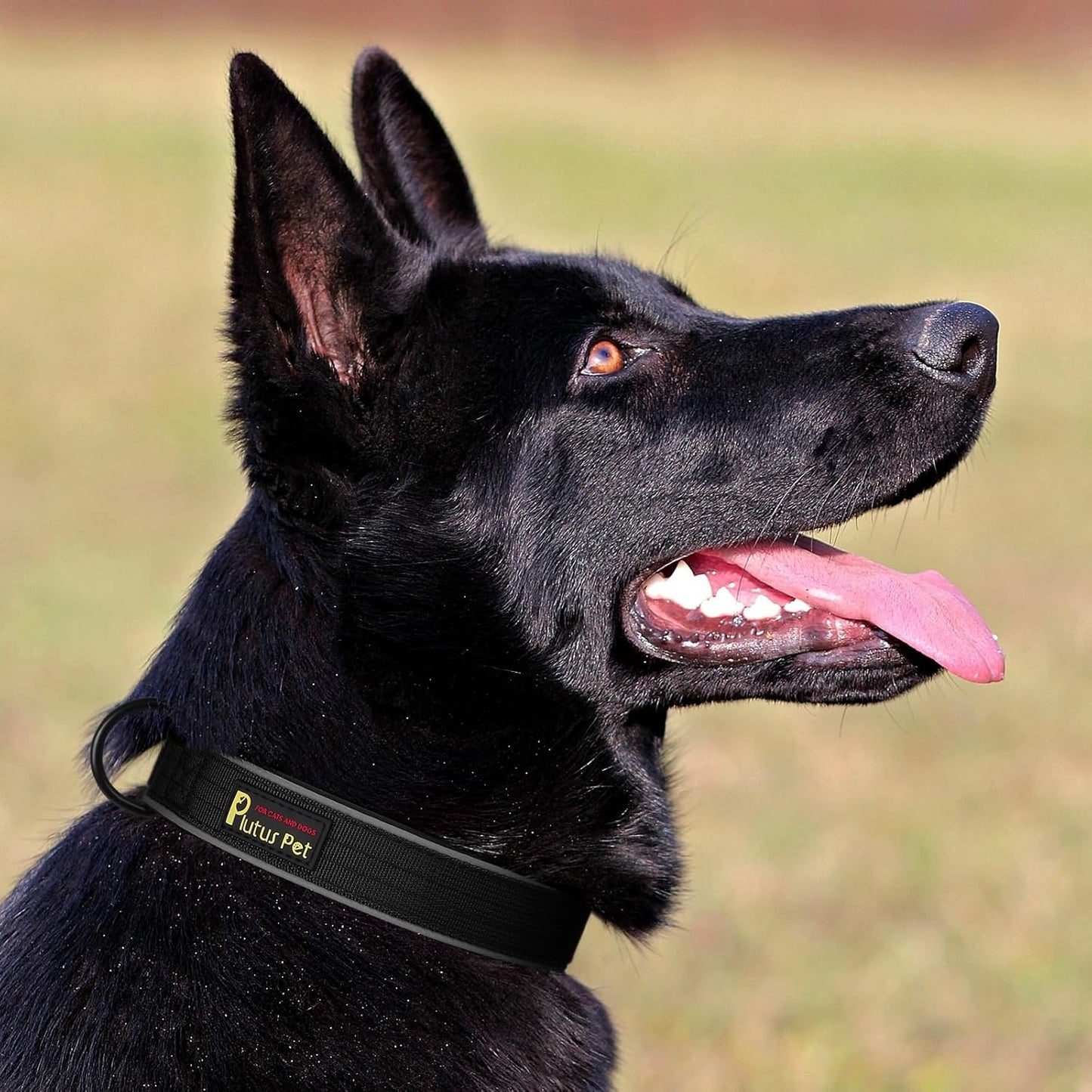 Plutus Pet Tactical Dog Collar, Reflective, Adjustable Heavy Duty Dog Collar, Soft Padded and Comfortable, for Small Medium and Large Dogs (Black, XS)