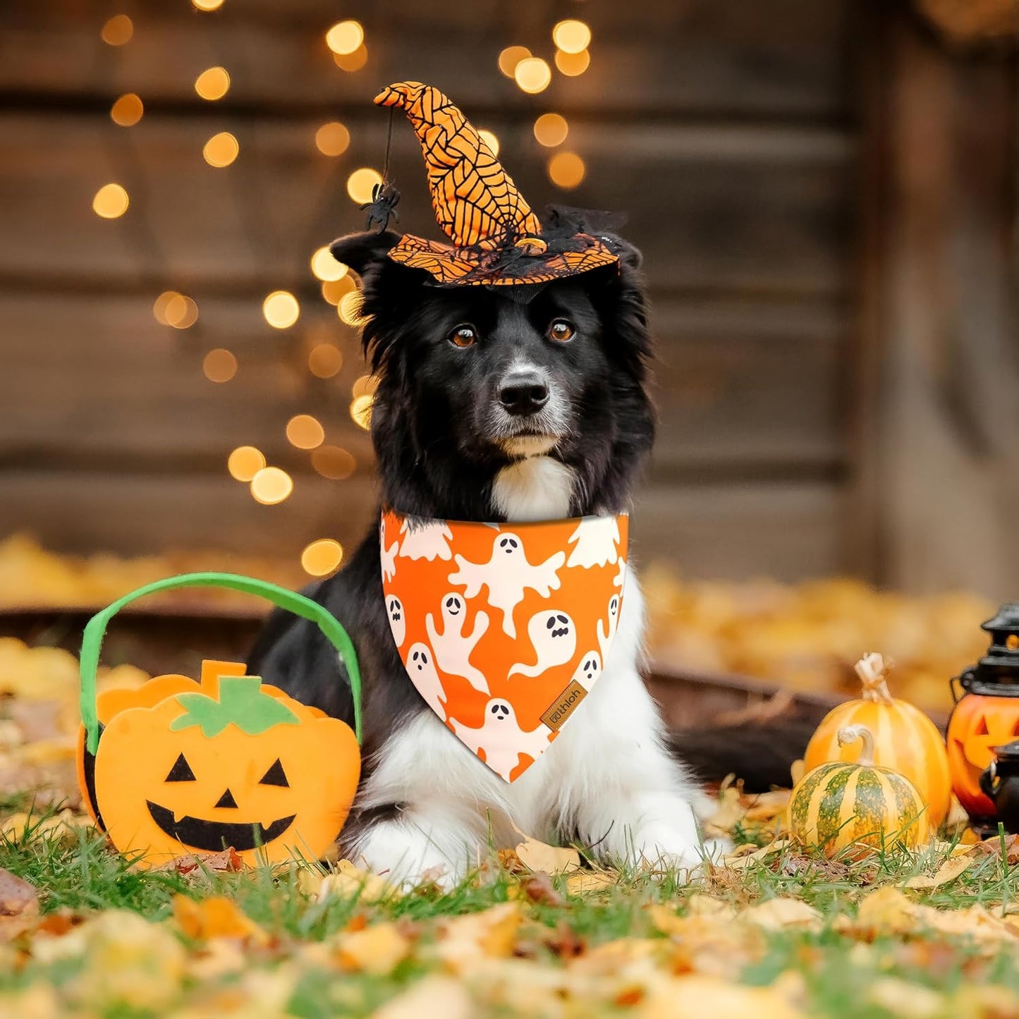 Halloween Dog Bandanas - 2 Pack Fall Dog Bibs | Reversible Pumpkin and Ghost Pet Scarf for Boys and Girls | Premium Durable Fabric | Orange Dog Bandana for Medium and Large Dogs (Large)