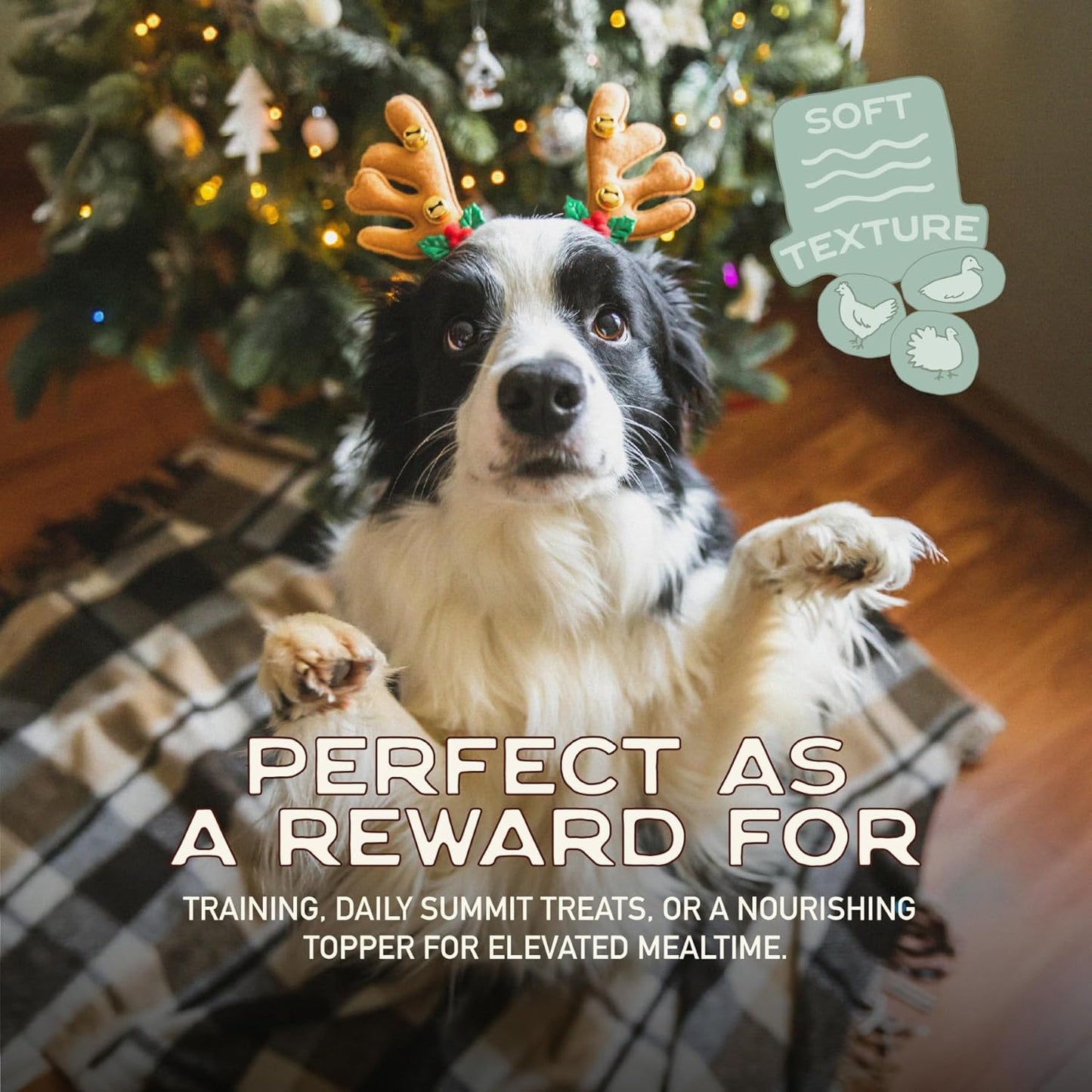 Smart Cookie Turducken Holiday Dog Treats - Turkey, Duck and Chicken Christmas Dog Treats - Healthy, All Natural, Grain Free, Human-Grade - Made in USA - 5oz (Pack of 3)