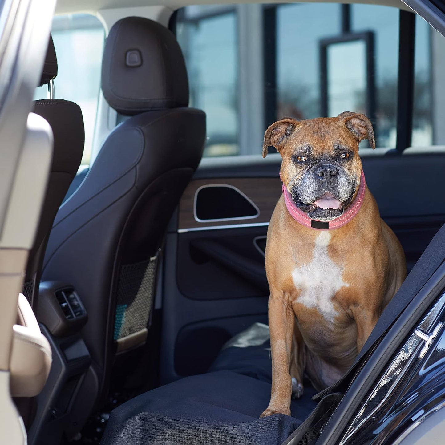 Amazon Basics Waterproof Car Back Bench Seat Cover Protector for Dog - 56 x 47 inch, Black