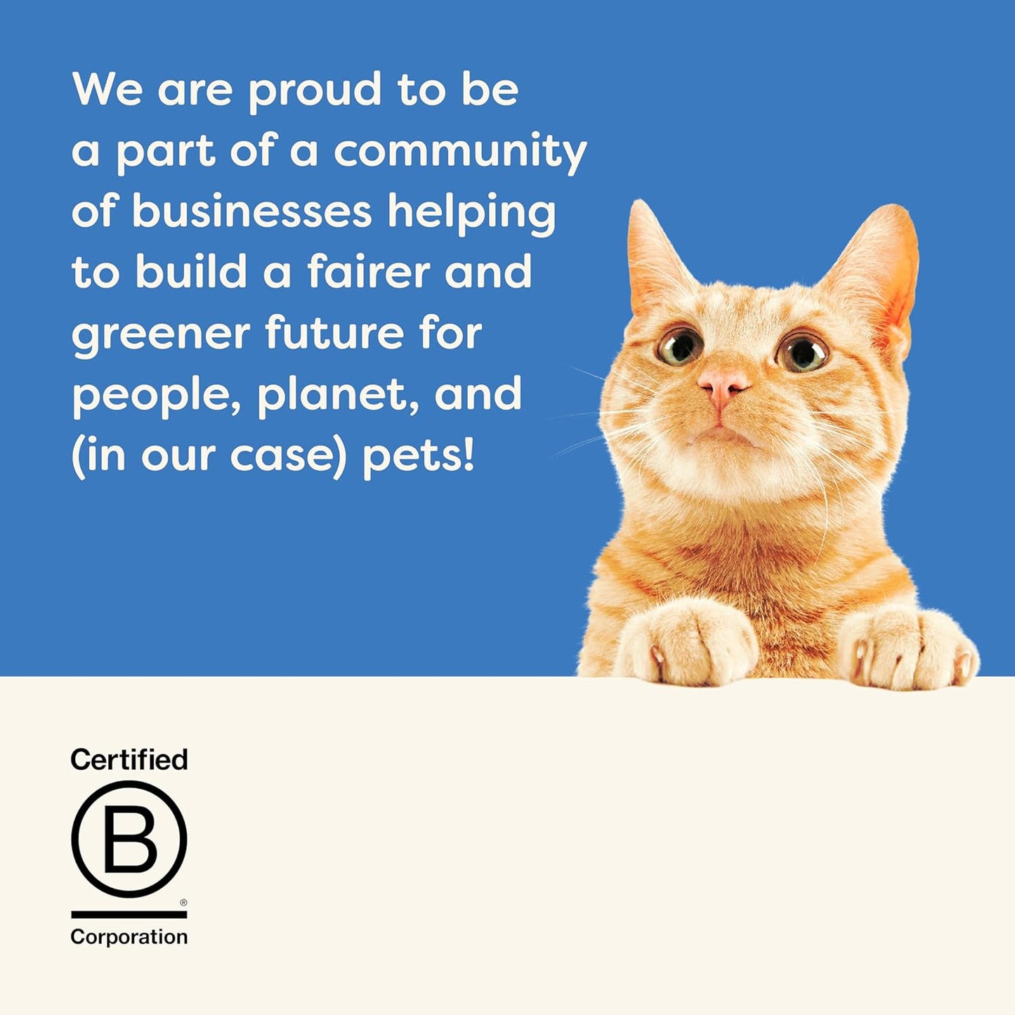 Applaws Natural Wet Cat Food in Broth, Limited Ingredient Canned Wet Cat Food, No Additives, Made with Natural Ingredients, Mackerel & Sardine in Broth (24 x 5.5oz Cans)