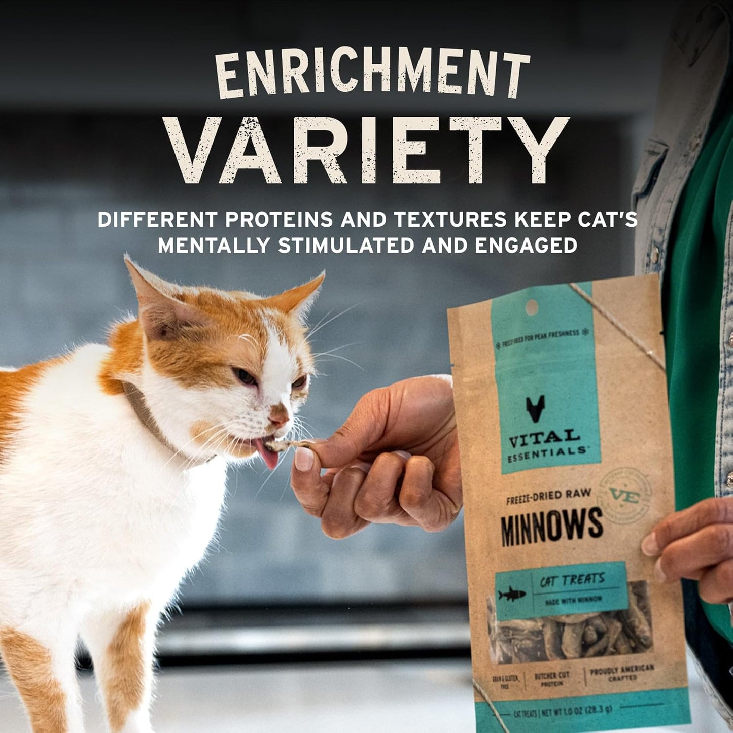 Vital Essentials Minnows Cat Treats, 1 oz | Freeze-Dried Raw | Single Ingredient | Grain Free, Gluten Free, Filler Free