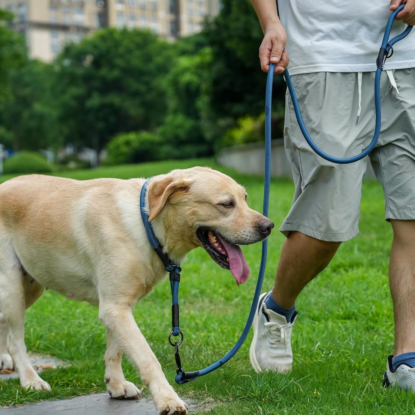 Rope Dog Leash, 4 ft Heavy Duty Dog Leash with Aviation Aluminum Auto Locking Carabiner, Strong Nylon Pet Lead for Small, Medium, Large Dogs (Green, 4FT)