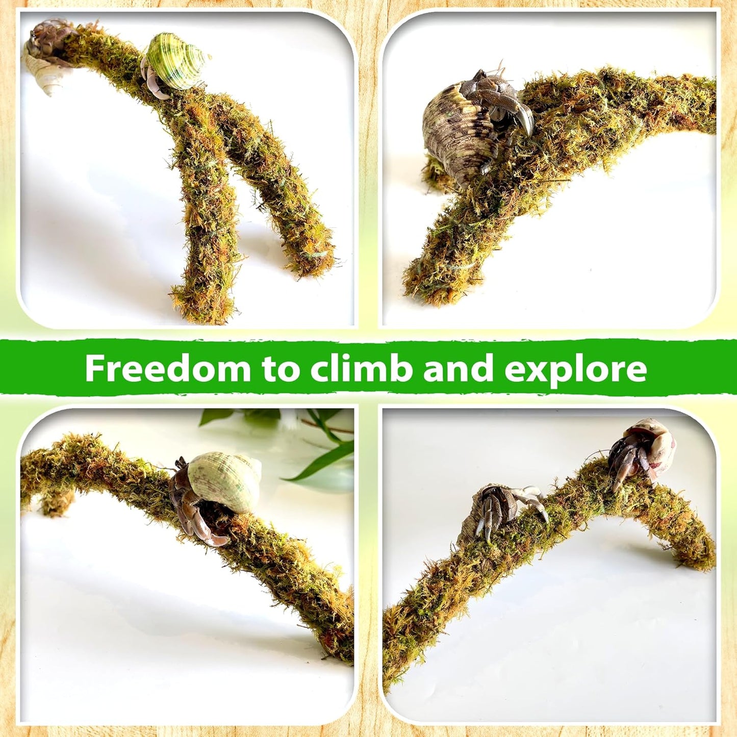 Duspro Hermit Crab Climbing Toys β Y Shaped Flexible Moss Pole Wrapped in Soft Yarn and Forest Moss, Hermit Crab Accessories and Easy-to-Use Hermit Crabs Supplies β Perfect for Climbing (12 inches)