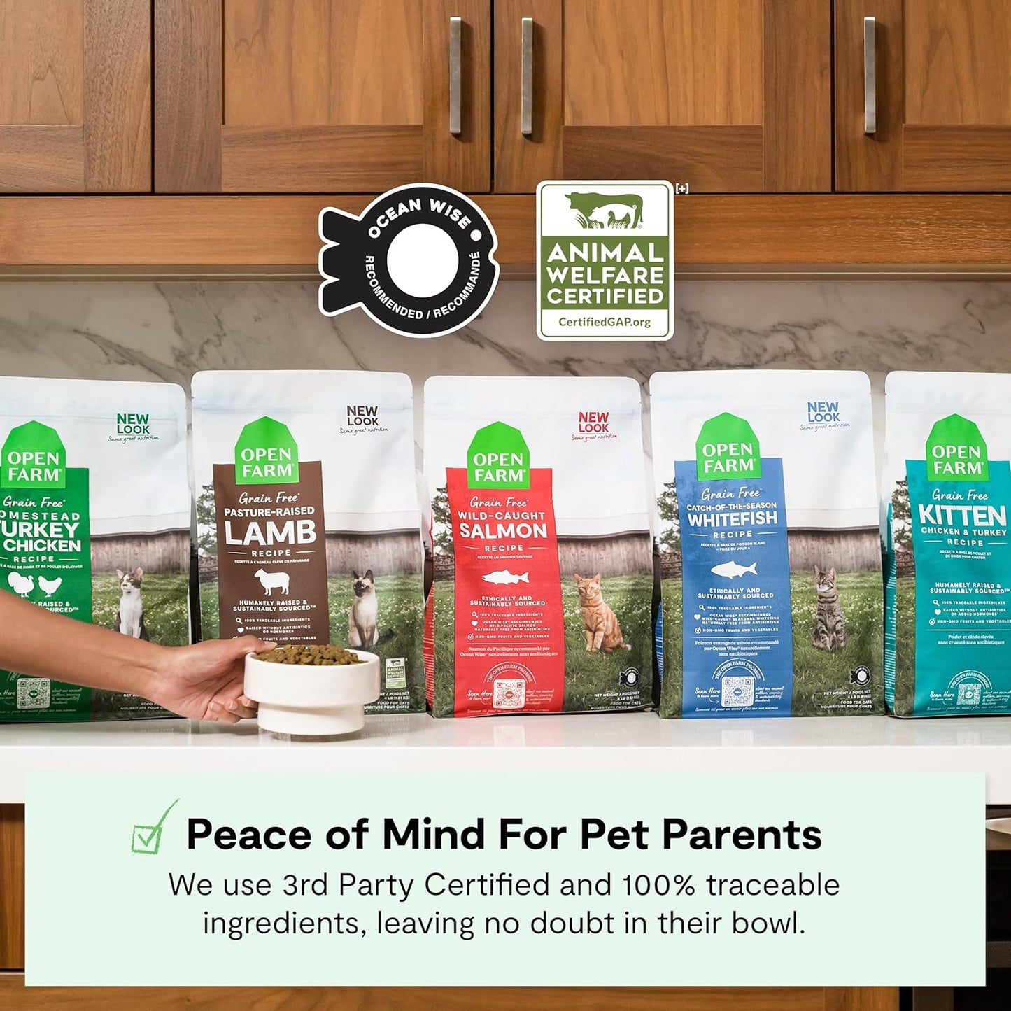 Open Farm, Grain Free Dry Cat Food, High-Protein Kibble for a Complete & Balanced Diet, Non-GMO Fruits & Vegetables, Prebiotic Fibers to Support Digestion, Wild-Caught Salmon Recipe, 8lb Bag