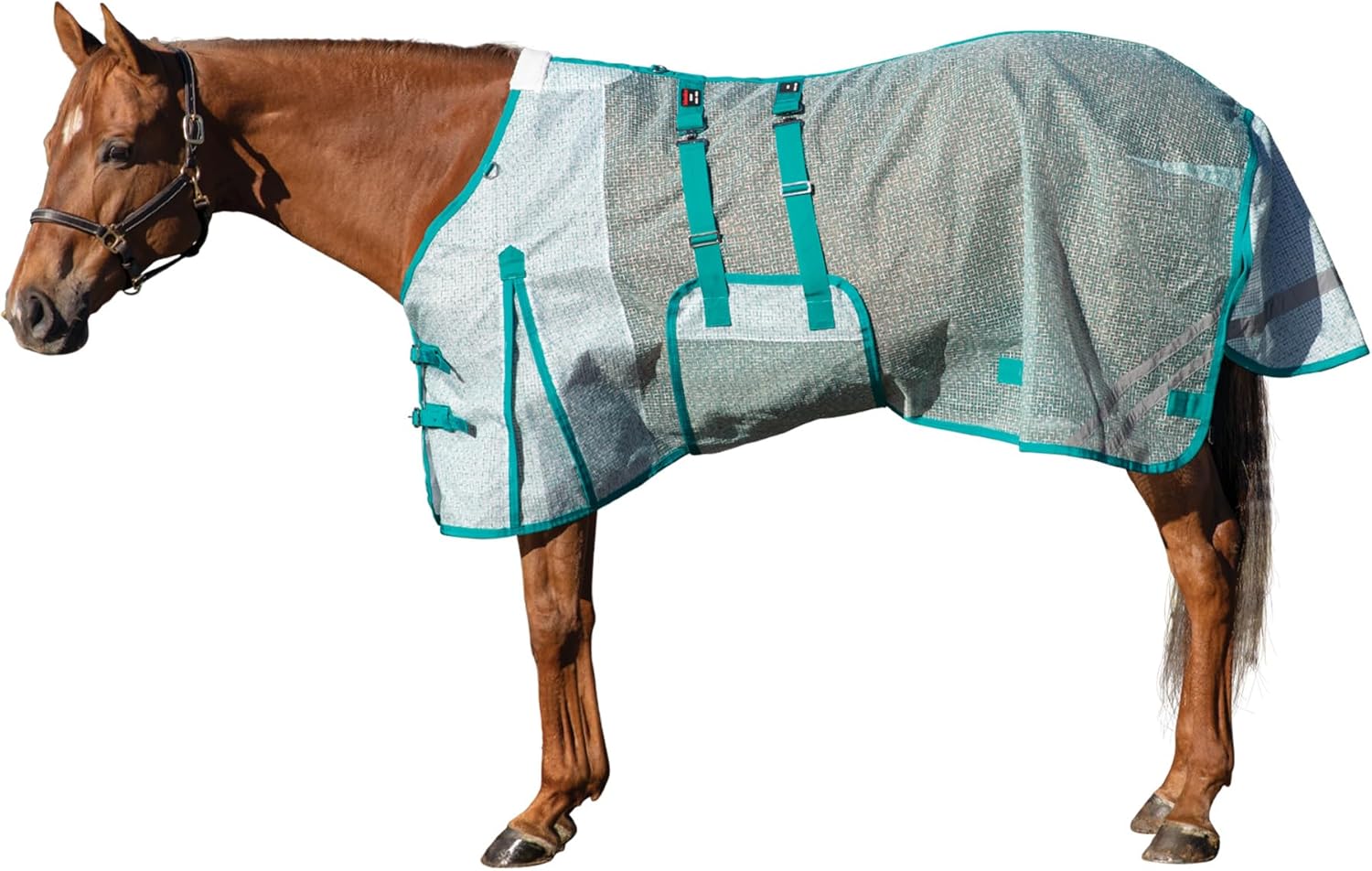 Horse Blankets & Sheets