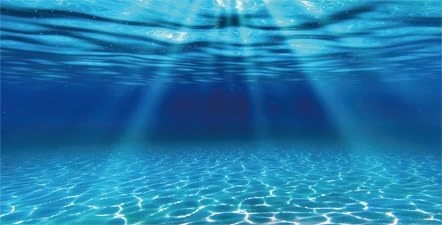 Natural Undersea Aquarium Background, Underwater Ocean Sunlight Fish Tank Background 72X16IN with 8 EVA Double-Sided Tape