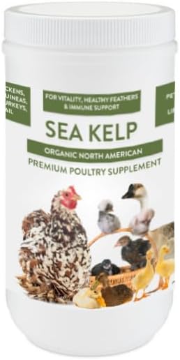 Organic Kelp for Chickens & Duck Feed (5 Pound): Chicken Vitamins | Chicken Supplements | Vitamins for Chickens | Pampered Chicken Mama