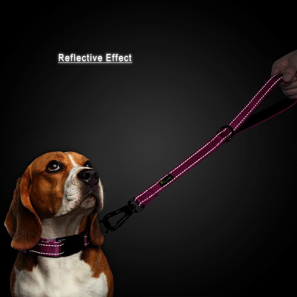 PLUTUS PET Short Training Dog Leash with Padded Handle for Medium Large Big Dogs,18 Inch Heavy Duty Strong Traffic Leash with Carabiner Clip for Climbing Walking or Guiding Blind（18”，Pink