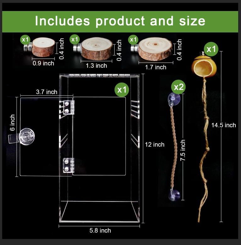 Spider Terrarium Kit, Jumping Spider Enclosure with Hideout, Rope Bridge, Ledge Ladder, Micro Habitat Terrarium for Small Tree Dwelling Reptiles, Arboreal Tarantula Enclosure (6x6x12 Inches)