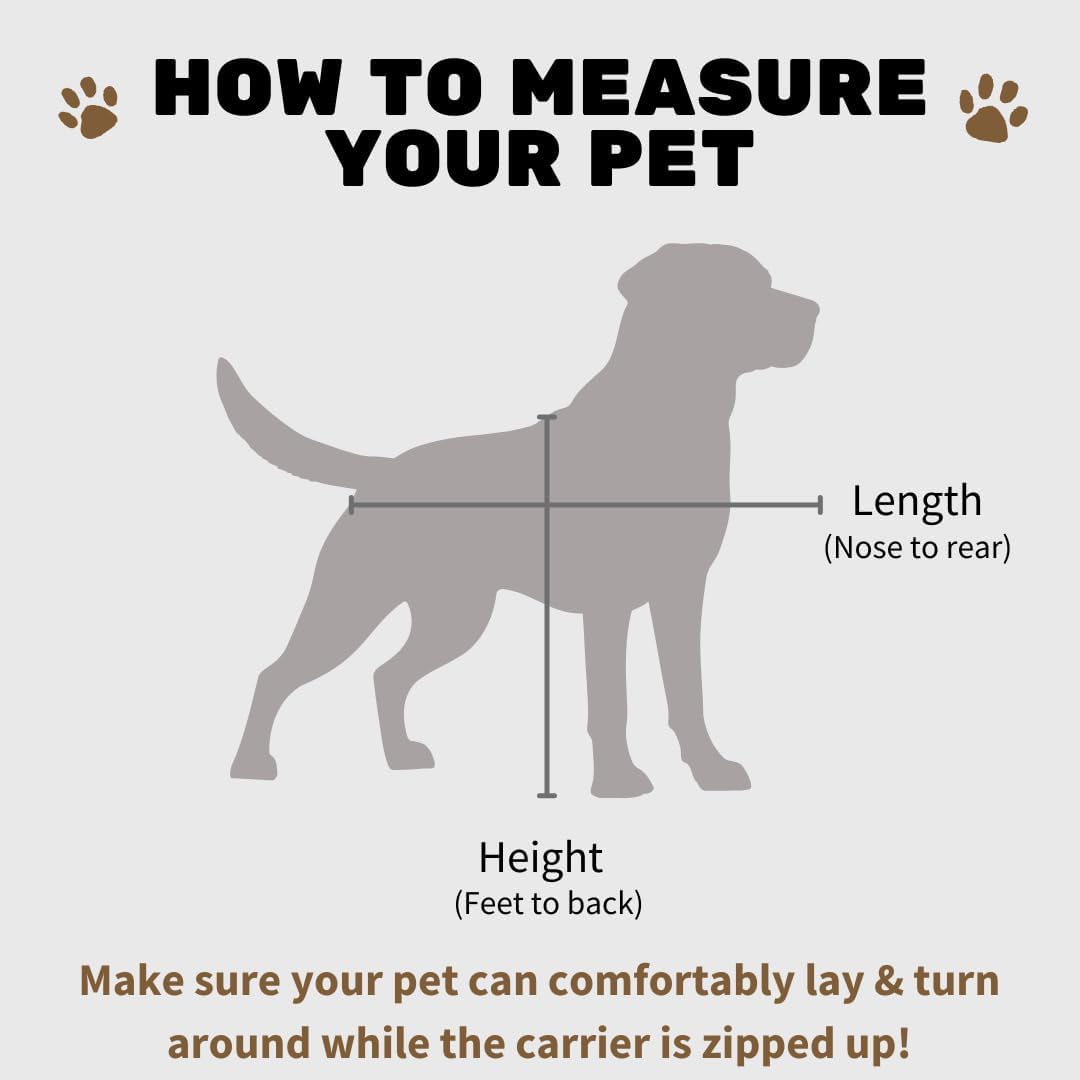 SturdiBag Pro 2.0 Pet Travel Carrier for Cats and Dogs | Soft Sided Pet Carrier Bag with Safety Clips and Seatbelt Straps for Airplane or Car Travel | Cube, Hot Pink