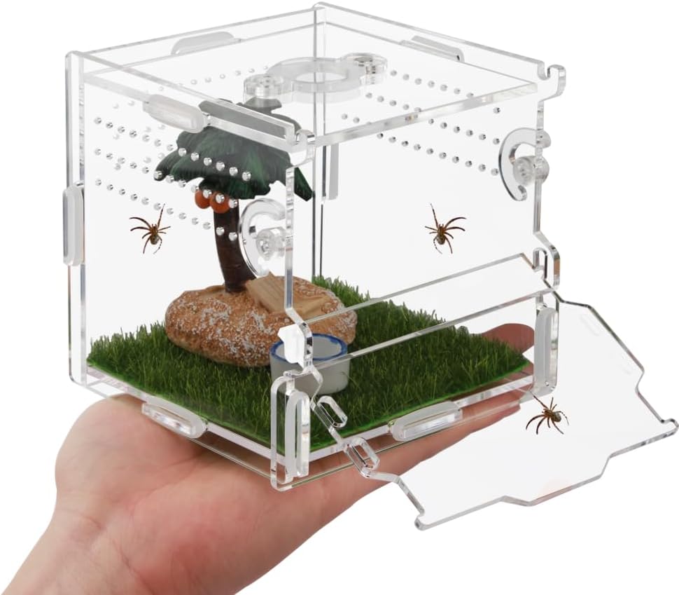 Reptile Terrarium,Tarantula Enclosure,Jumping Spider Enclosure for Tarantula Scorpion Sling Isopods Snail Reptile Invertebrates Accessories（4" X4 X4 ）