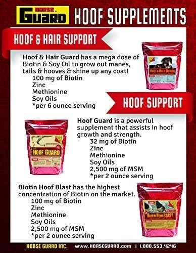 Horse Guard Hoof Supplements for Horses - 80 Servings - Biotin Hoof Blast 10lb Bag with 100mg Biotin per Serving - Concentrated Equine Hoof Health, Strengthener with MSM, Methionine, Zinc