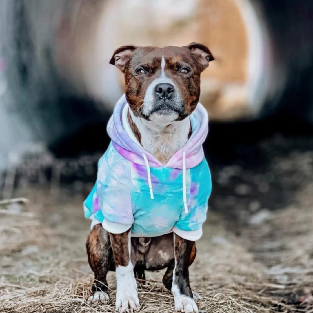 Spark Paws Dog Hoodie – Premium Dog Sweater for Small, Medium, and Large Dogs | Warm Outfits for French Bulldogs, Pitbull, Puppy, Winter Jacket Alternative - 90s Retro Sky Dye - XL