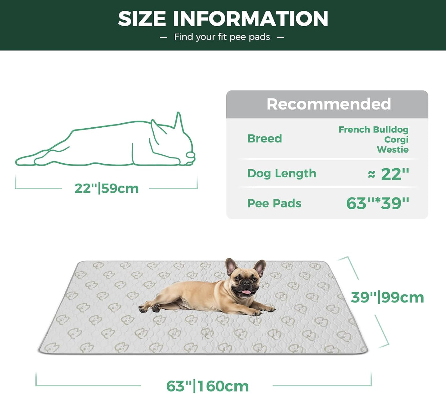 FXW Washable Pee Pads for Dogs, Puppy Pads with Super Absorbent, Specifically Designed for FXW Rollick/Homeplus 24inch 6 Panels Dog Playpen, 63" × 39" Rectangle, Khaki, 2 Packs