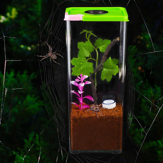 Tarantula Large Breeding Box Reptile Transparent Feeding Box Frog Cricket Snail Hatching Container Insect Habitat Cage(10.1" x 4.1" x 3.1")