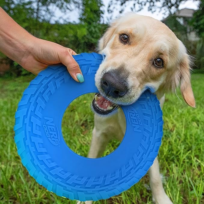 Nerf Dog Tire Flyer Outdoor Dog Toy, 10 Inch Flying Disc Dog Fetch Toy, Rubber Dog Toy for Medium Dogs and Large Dogs, Blue