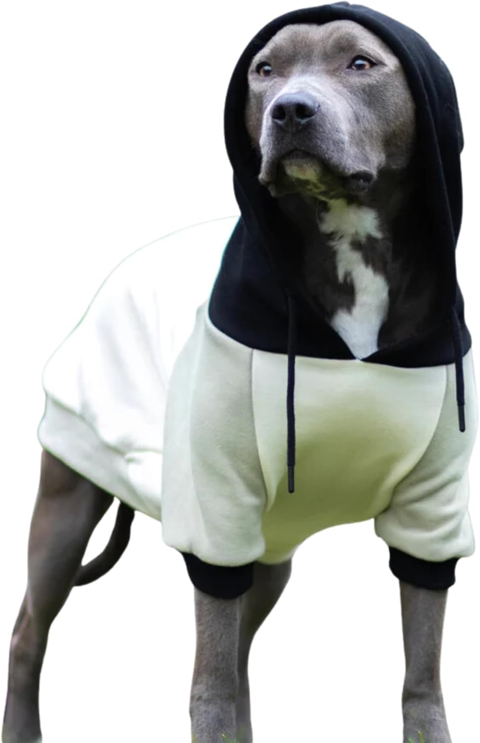Spark Paws Dog Hoodie – Premium Dog Sweater for Small, Medium, and Large Dogs | Warm Outfits for French Bulldogs, Pitbull, Puppy, Winter Jacket Alternative - Olive Cream - 3XL