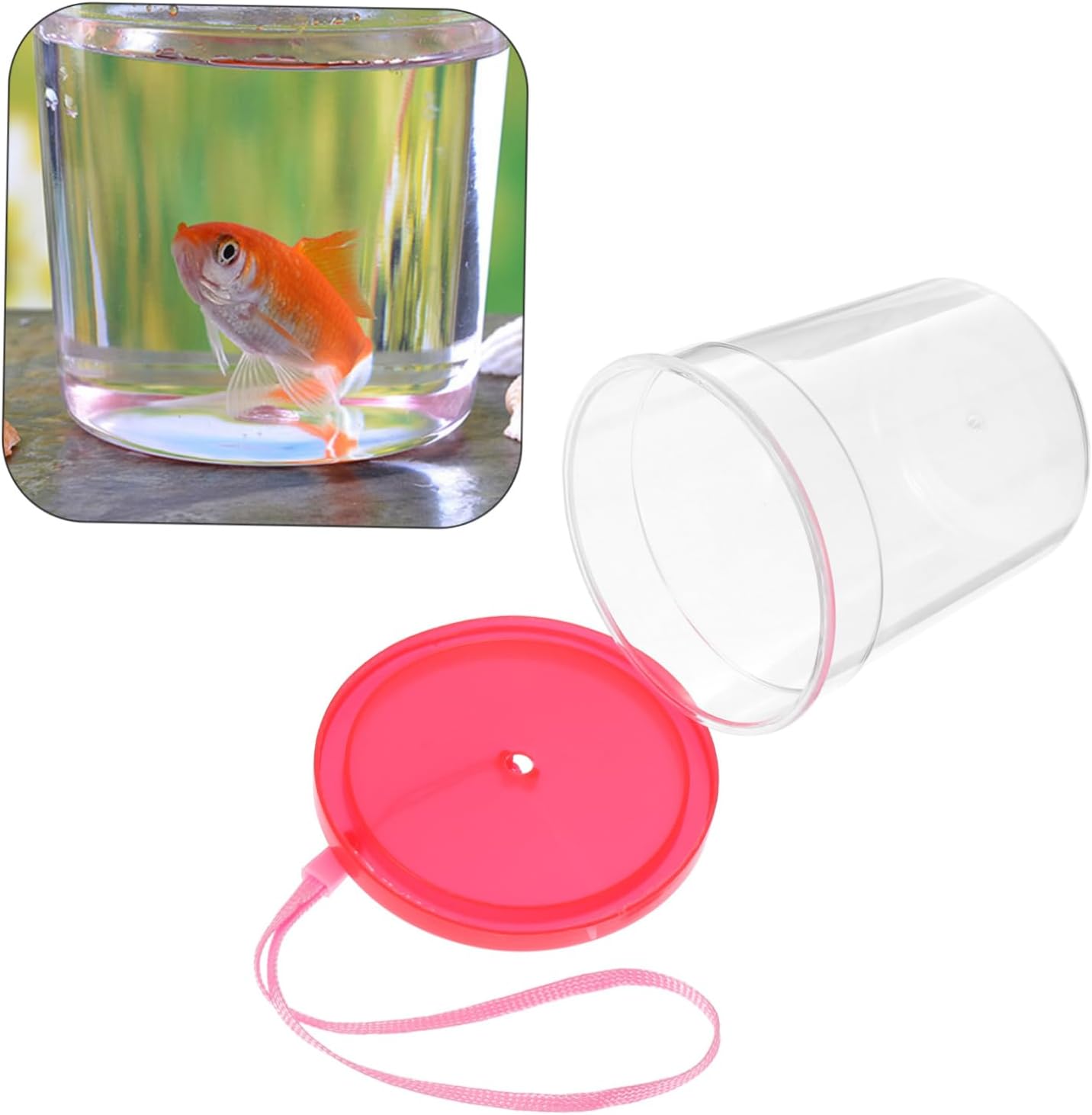 Reptile Tank Decor Aquatic Turtle Tank Plastic Pet Feeding Container Easy to Use Feeding Box Color