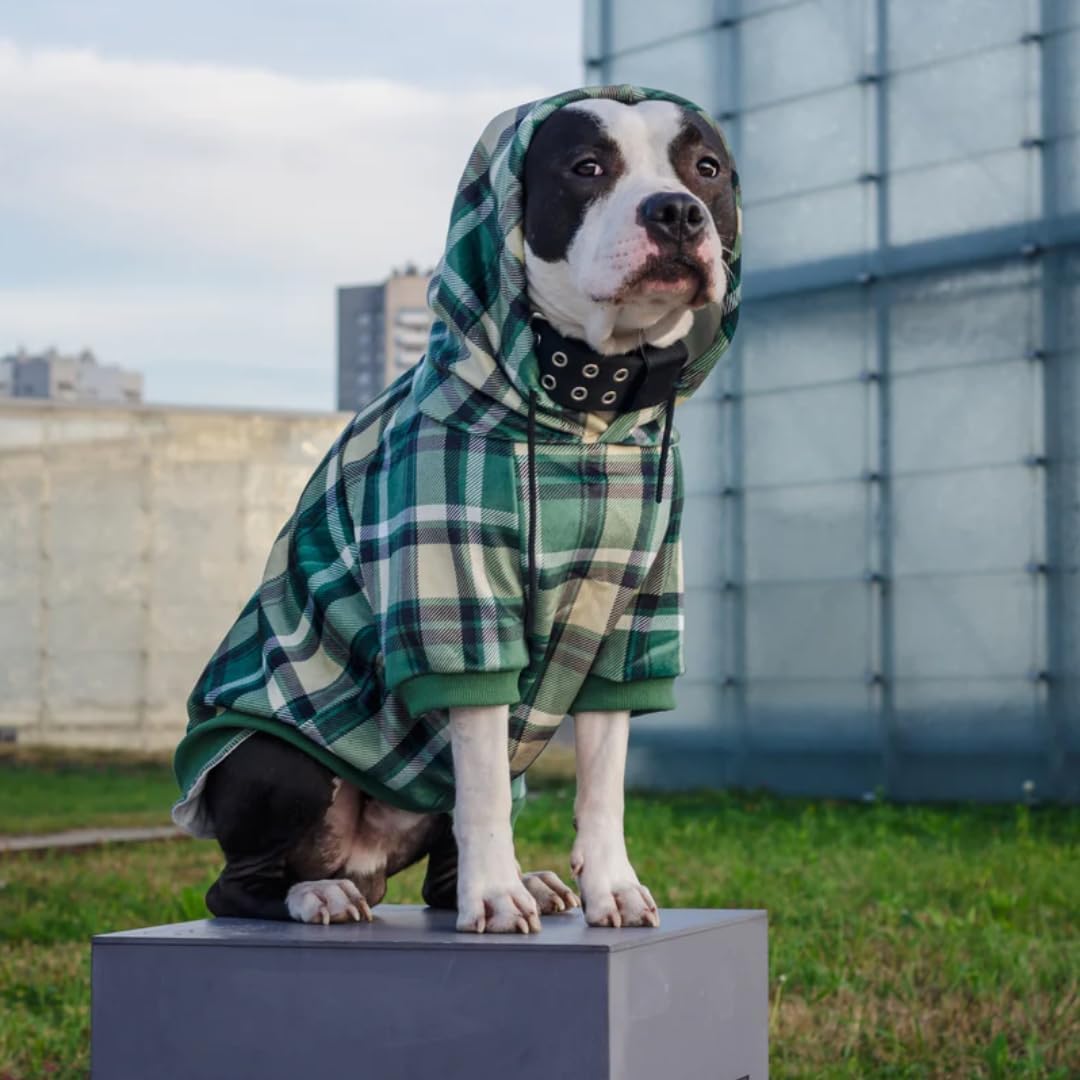 Spark Paws Dog Hoodie – Premium Dog Sweater for Small, Medium, and Large Dogs | Warm Outfits for French Bulldogs, Pitbull, Puppy, Winter Jacket Alternative - Green Plaid - 5XL