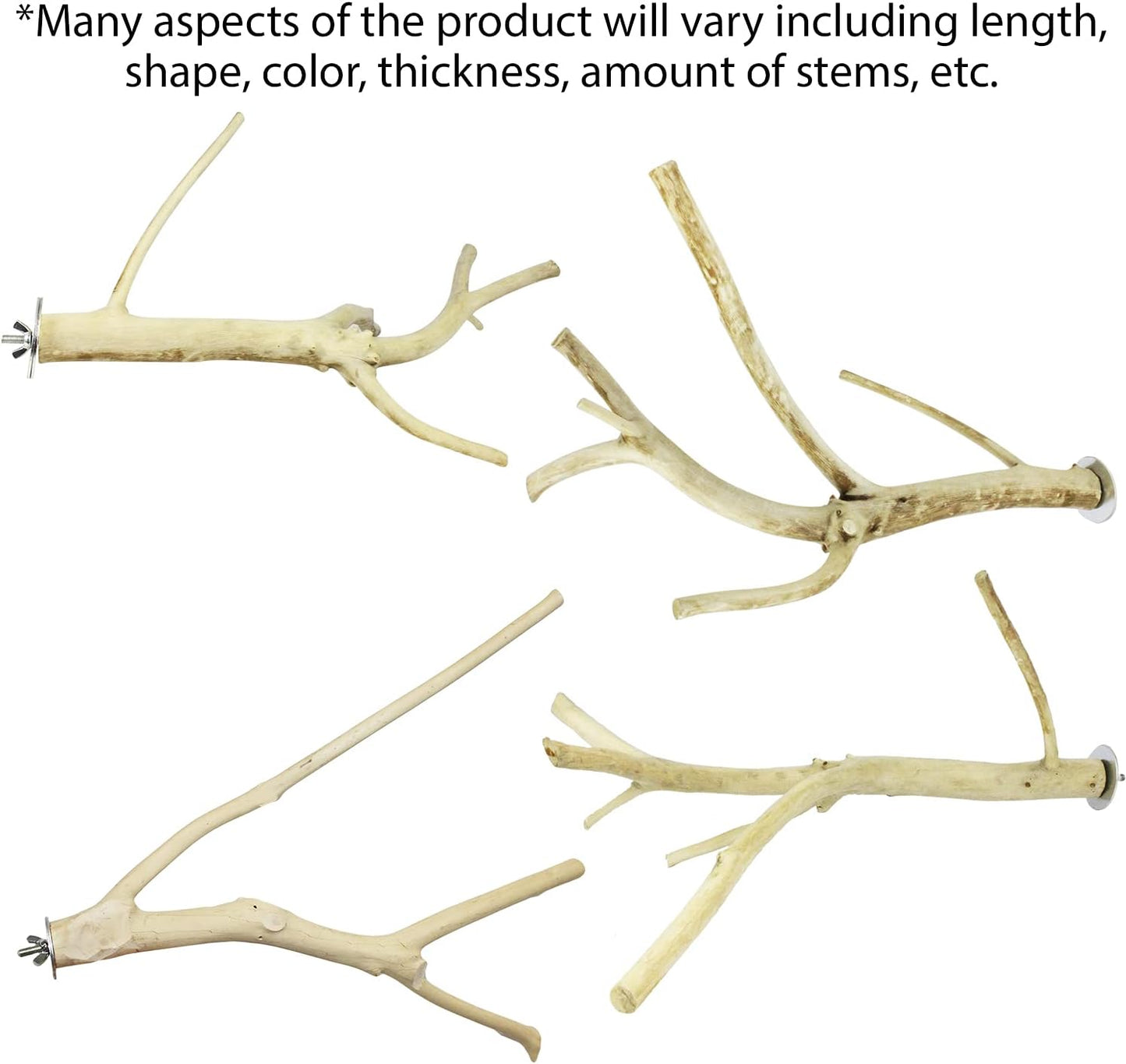 Multi-Branch Perch (Medium) - Durable Natural Climbing Branch Perch Cage Accessory - Sugar Gliders, Squirrels, Prairie Dogs, Degus, Marmosets, Monkeys, Parrots, Birds, Rats, Reptiles, Amphibians