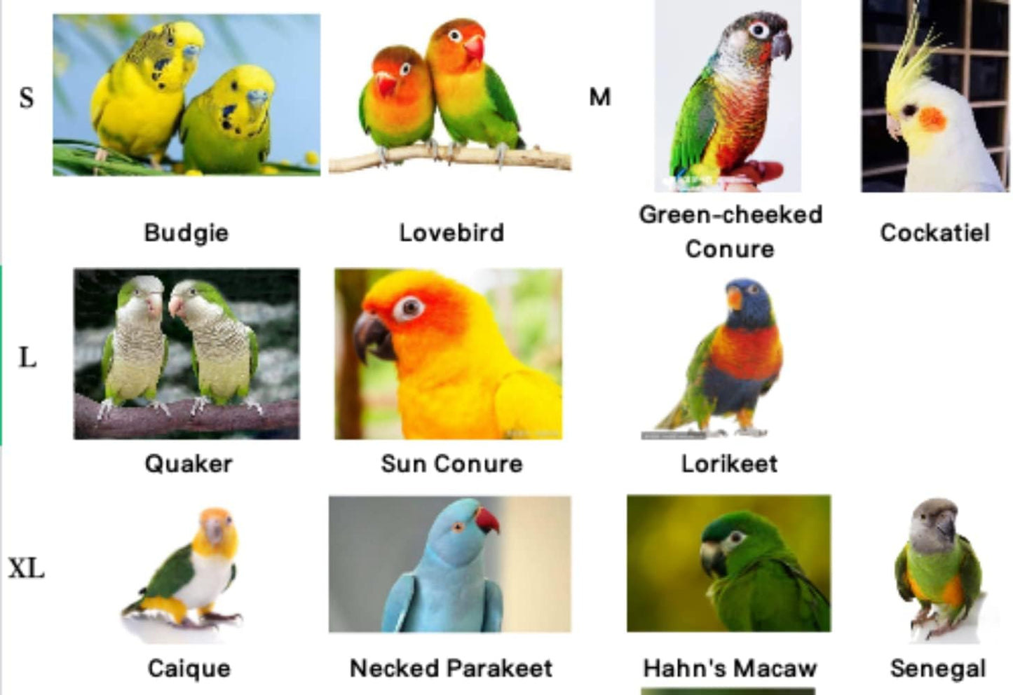 Pet Parrot Bird Harness Leash Adjustable Bird Flying Harness Traction Rope with Cute Wing for Parrots Pigeons Budgerigar Lovebird Cockatiel Mynah Outdoor Training Toy (M, Yellow)