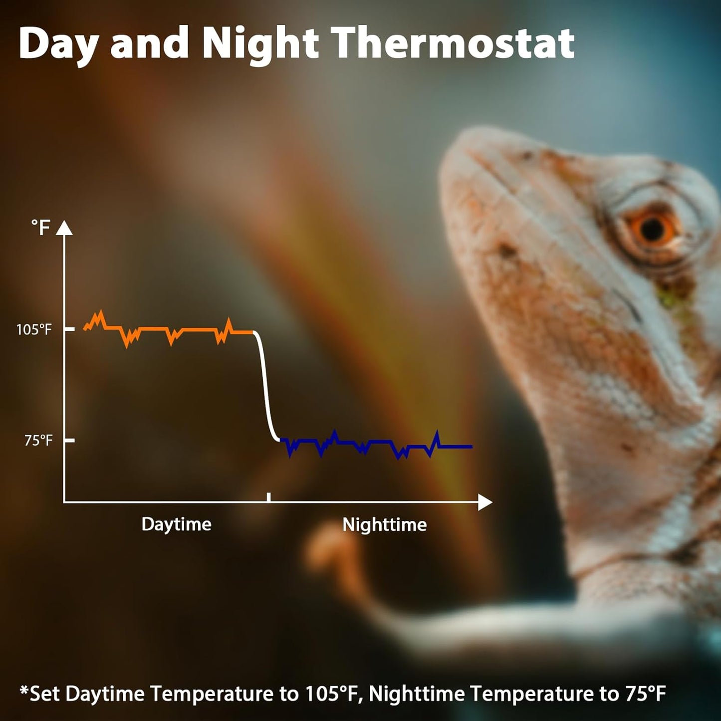 8.5 Inch Day-Night Thermostatic Reptile Heat Light Fixture - Heat Lamp Temperature Controller for Bearded Dragons, Snakes & Lizard – Bulb Not Included (Max 150W)