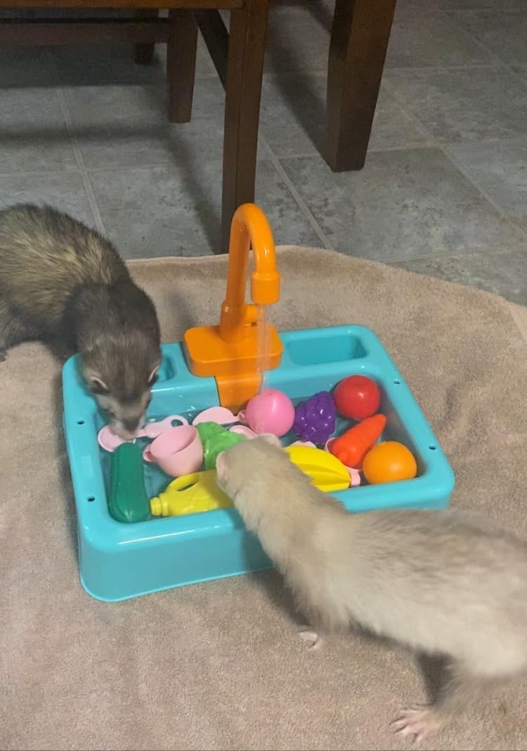 Parrot Bird Bathtub Shower Box Bathing Tub Container Cage, Automatic Pet Bird Bath Pool with Faucet, Ferret Bathtub Swimming Pool Toy Bath Shower Water Dispenser for Small Medium Parakeet Cleaning